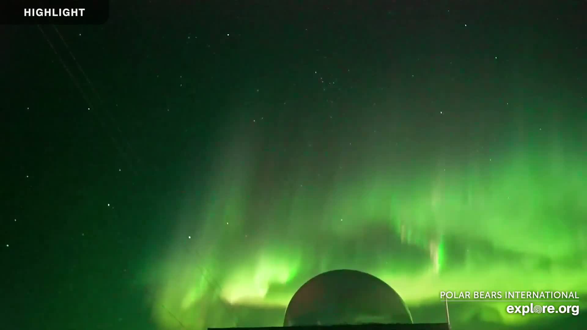 A dome-shaped structure is silhouetted against a vibrant green aurora borealis under a dark, starry night sky.