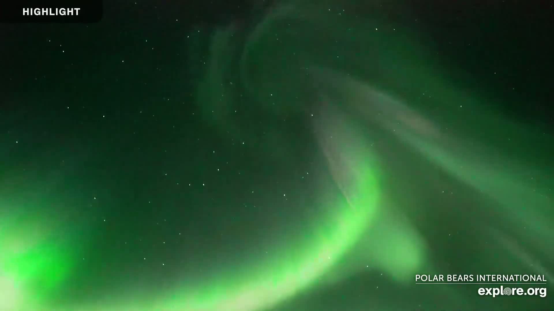 A vibrant green aurora borealis fills a dark night sky dotted with stars.