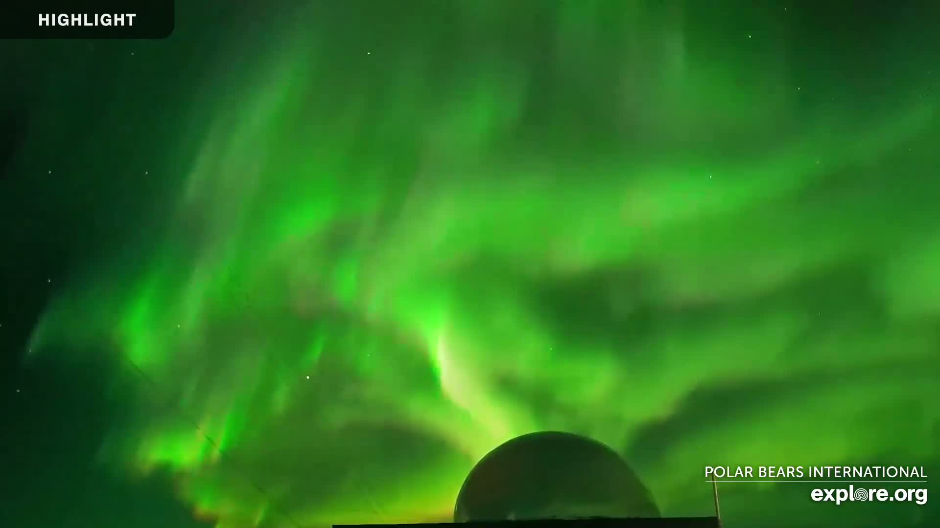 A vibrant green aurora borealis illuminates the night sky above a domed structure.