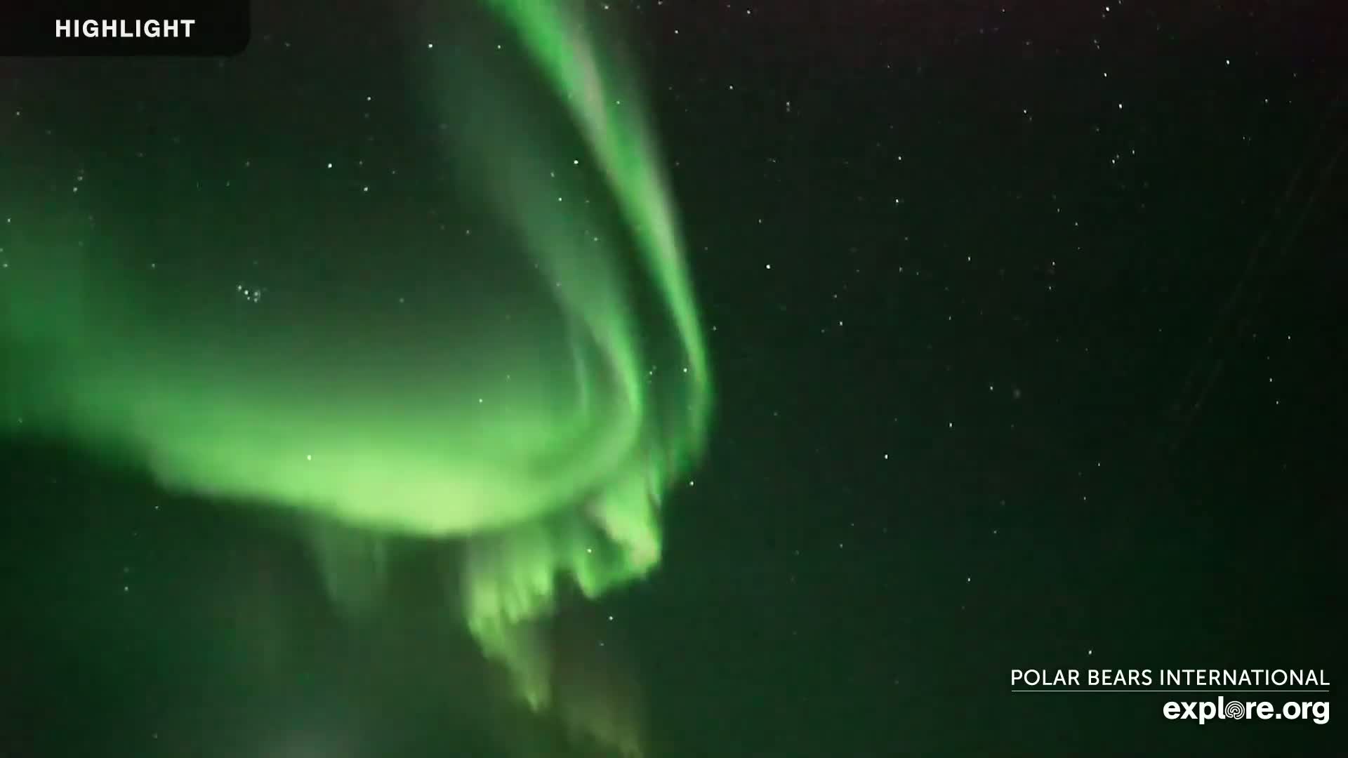 A vibrant green aurora borealis illuminates a clear night sky.