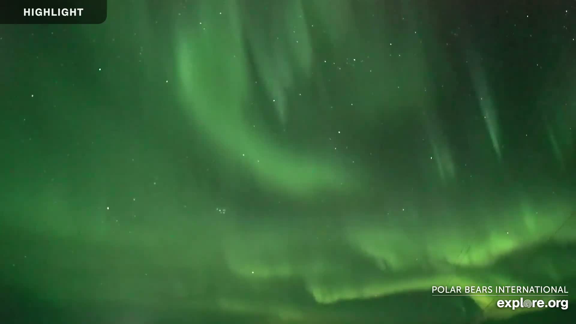 A vibrant green aurora borealis fills the night sky.