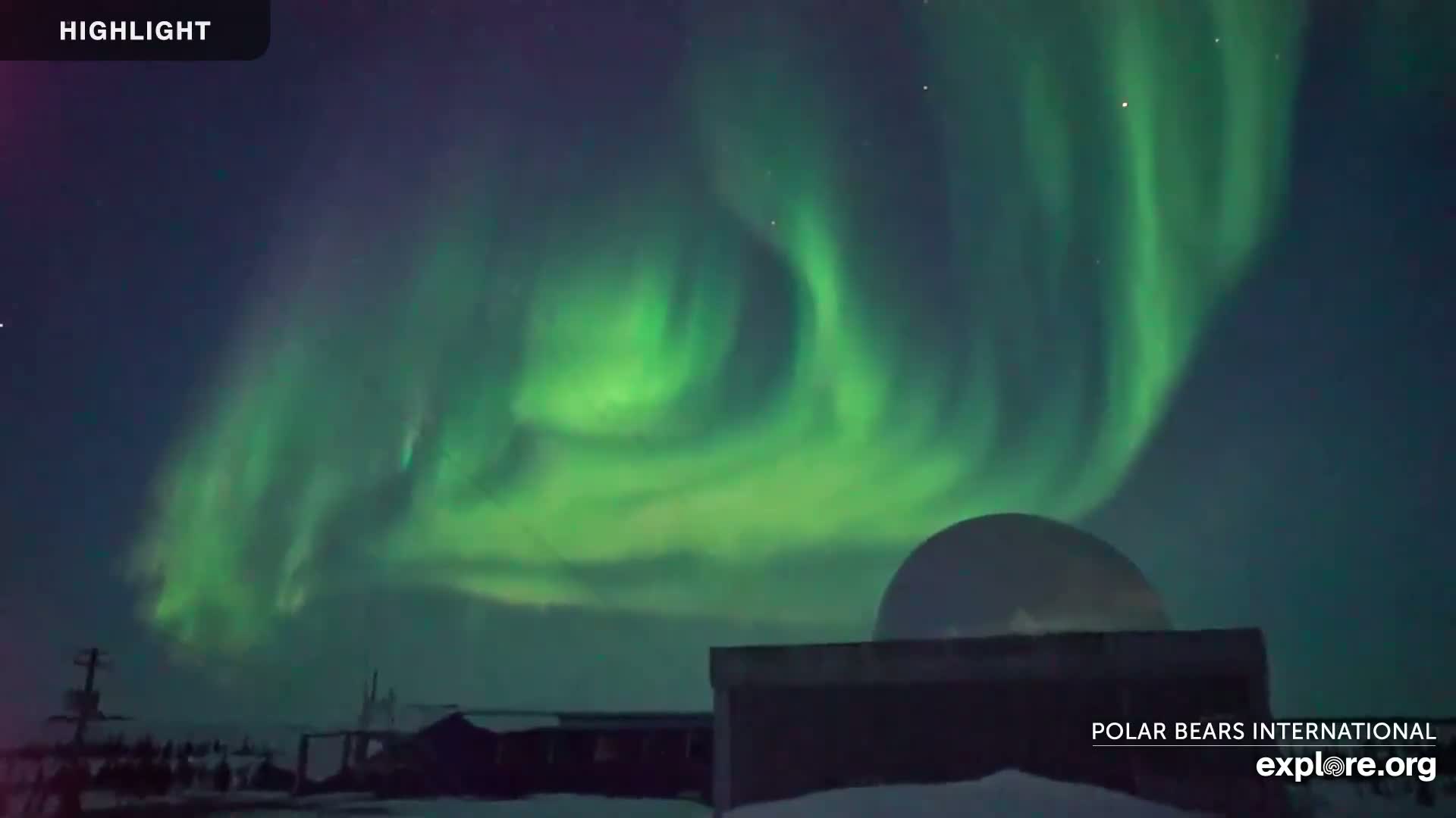 A vibrant green aurora borealis illuminates the night sky above a building and a dome-shaped structure in a snowy, dark landscape.
