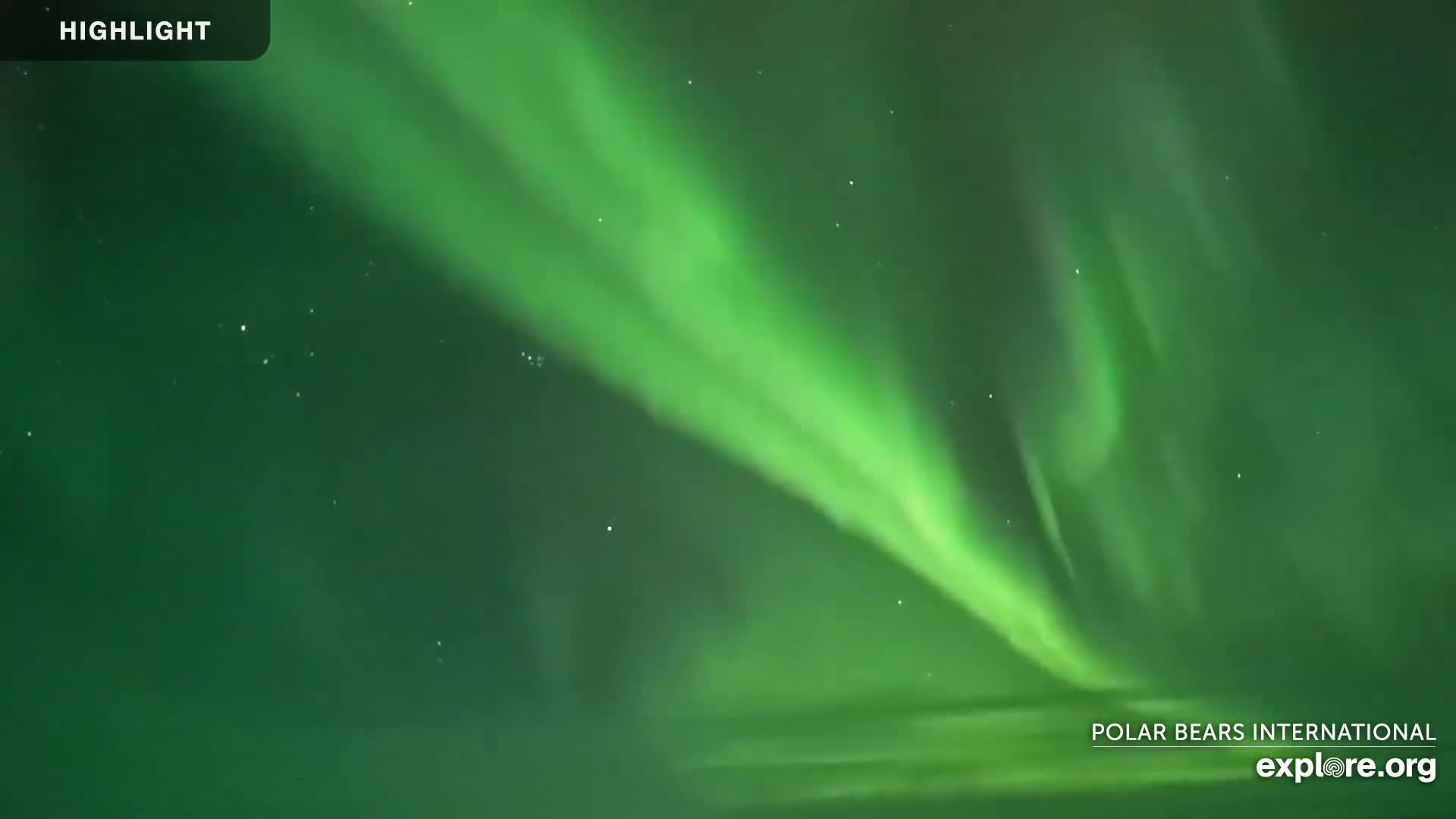 A vibrant green aurora borealis illuminates a dark night sky.