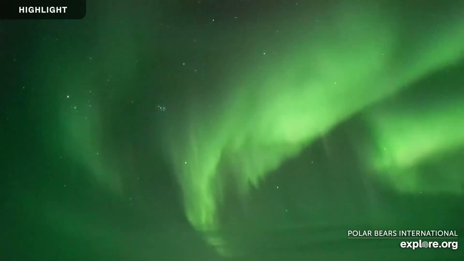 A vibrant green aurora borealis displays its luminous curtains across a dark night sky.