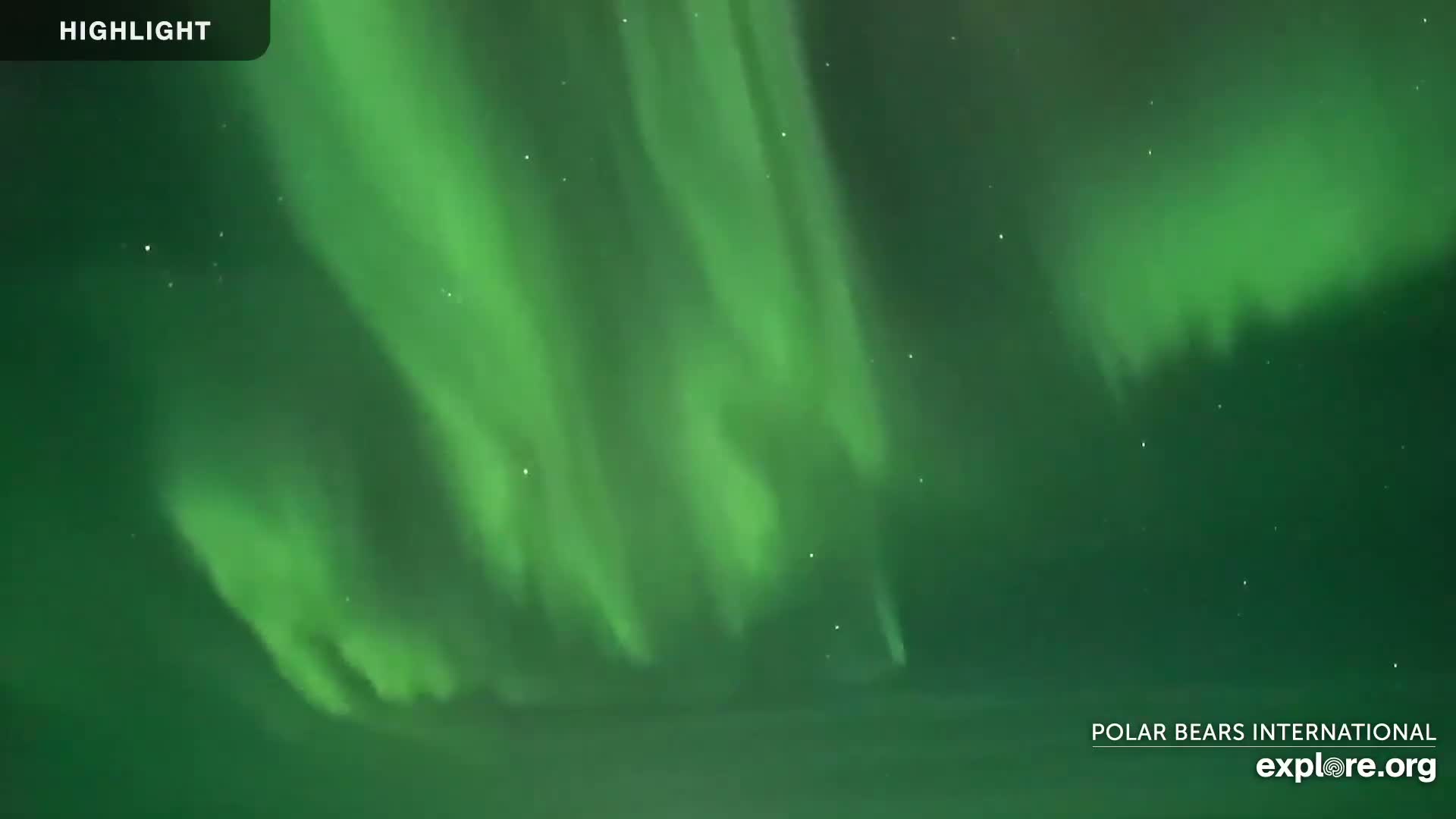 A vibrant green aurora borealis illuminates the night sky.
