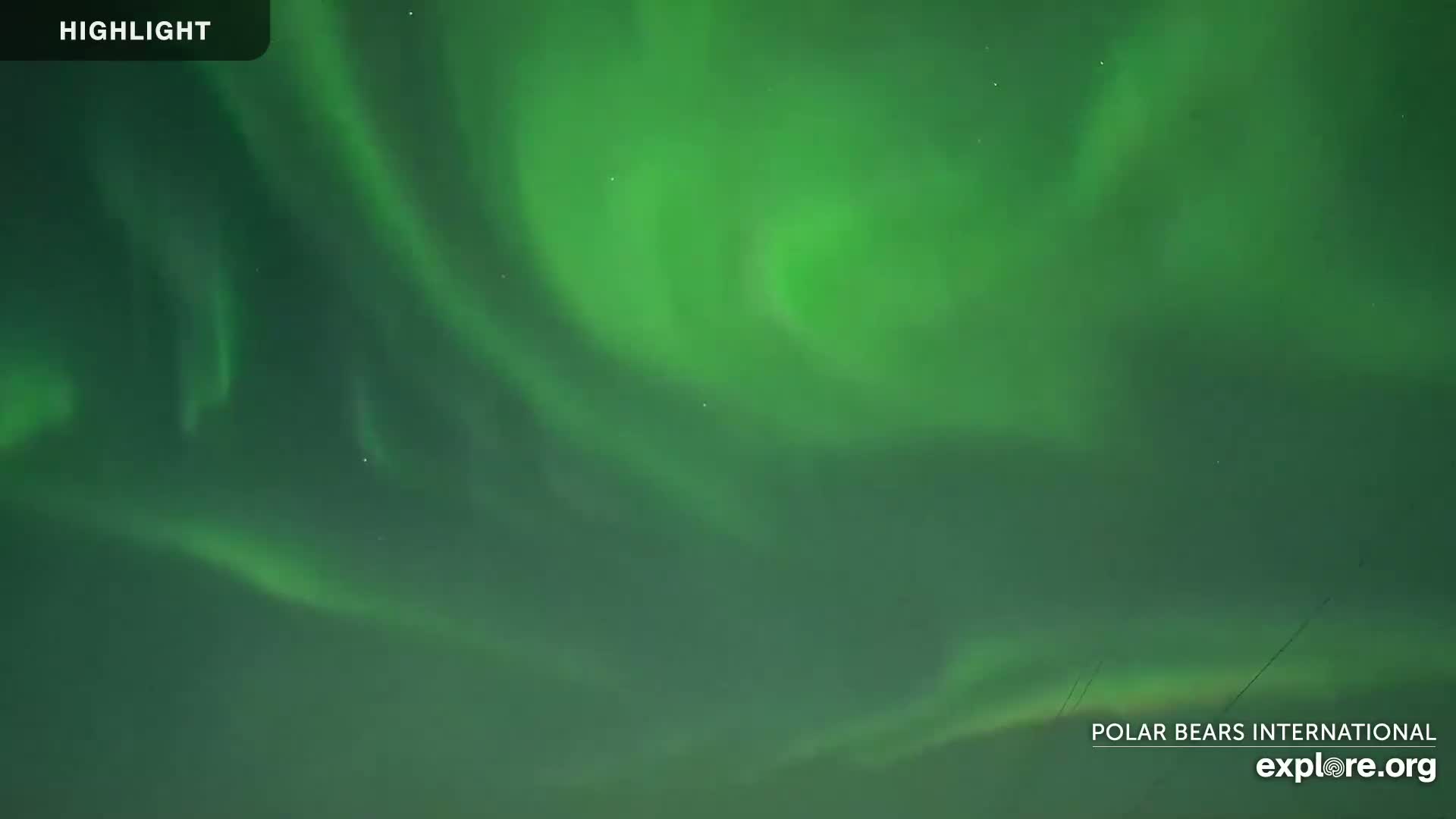 Swirling green aurora borealis fills the night sky.