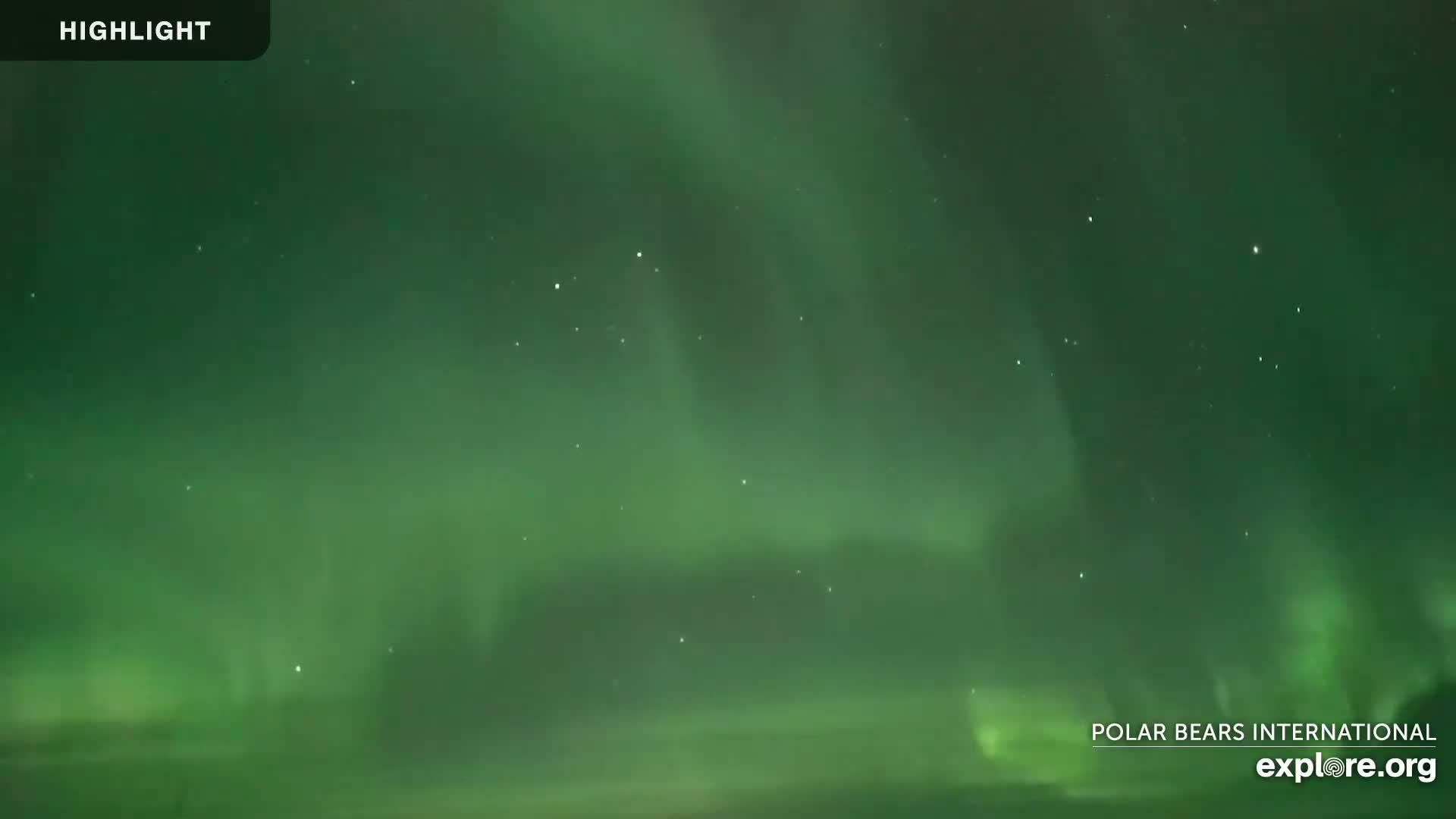 A vibrant green aurora borealis fills the night sky.