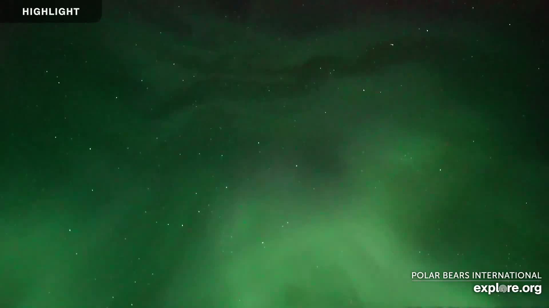 A dark night sky displays a vibrant green aurora borealis.