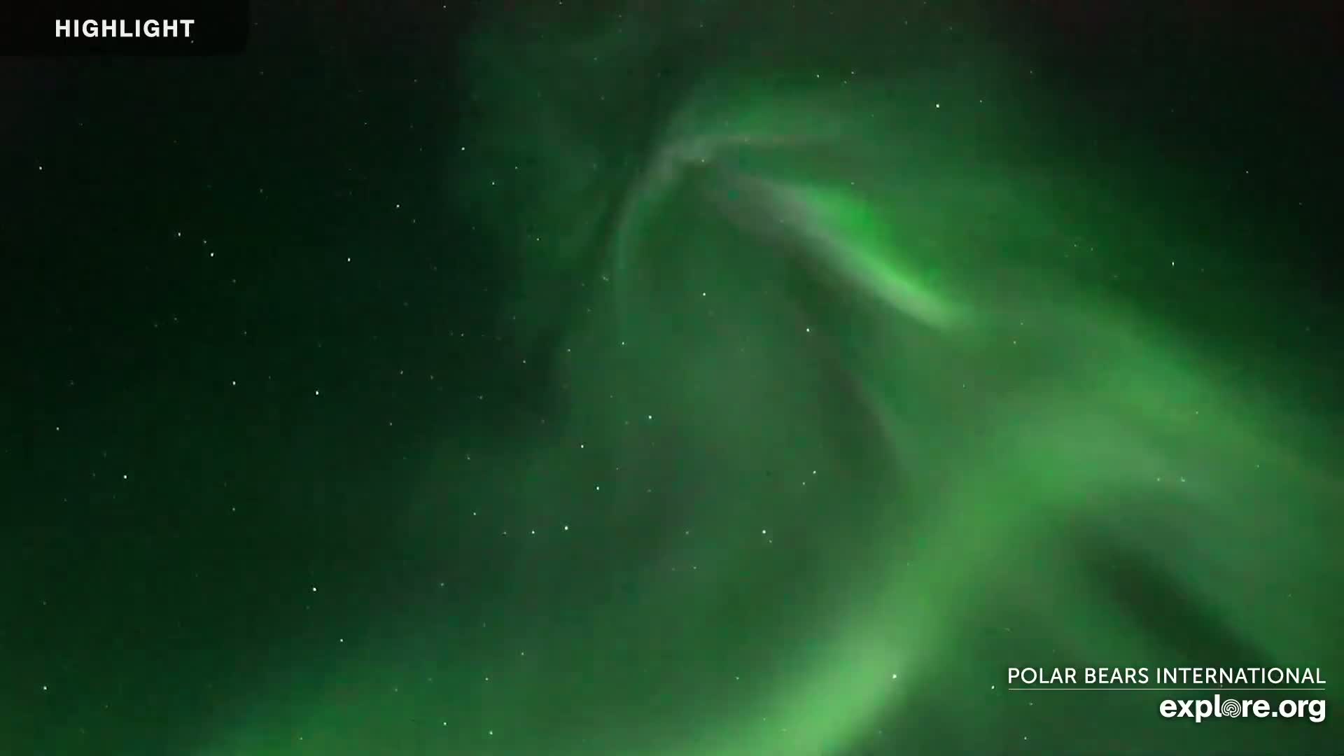 A vibrant green aurora borealis fills a dark night sky dotted with stars.