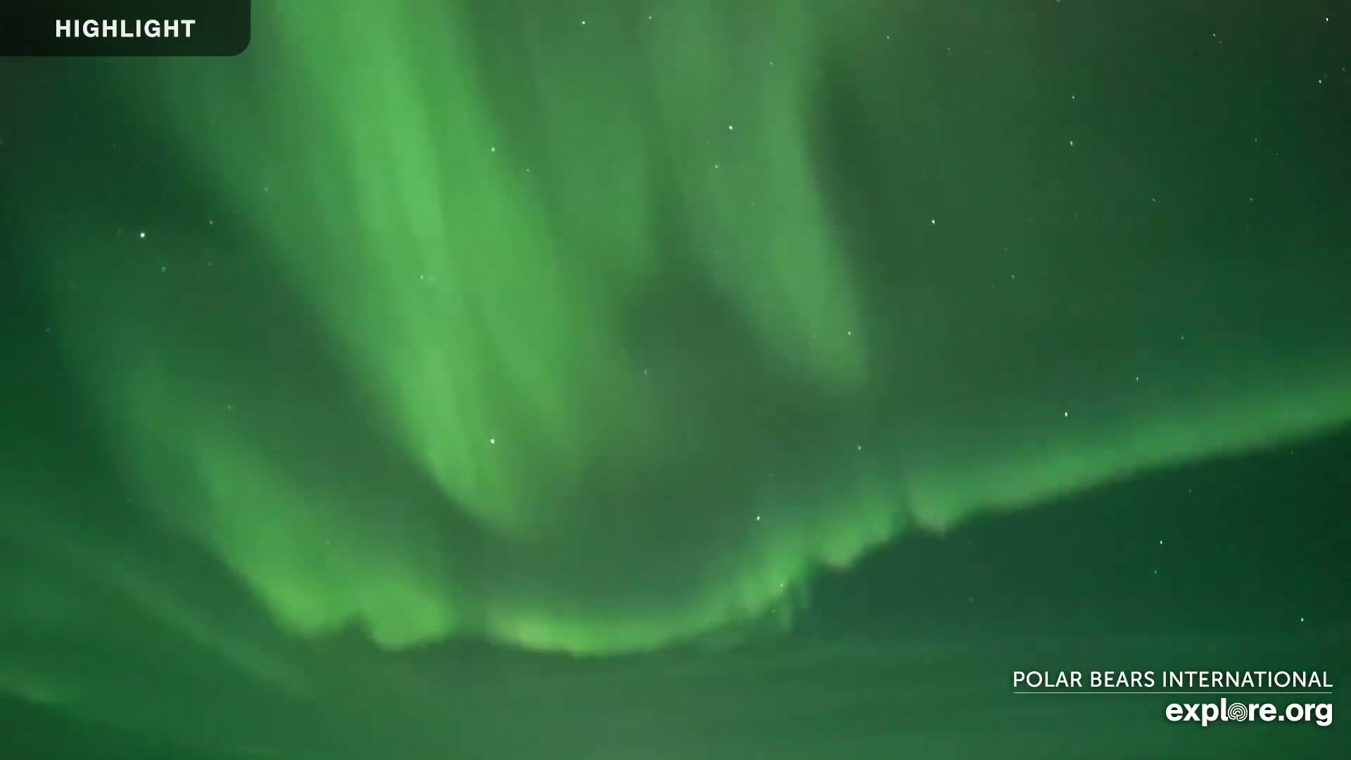 A vibrant green aurora borealis fills the night sky.
