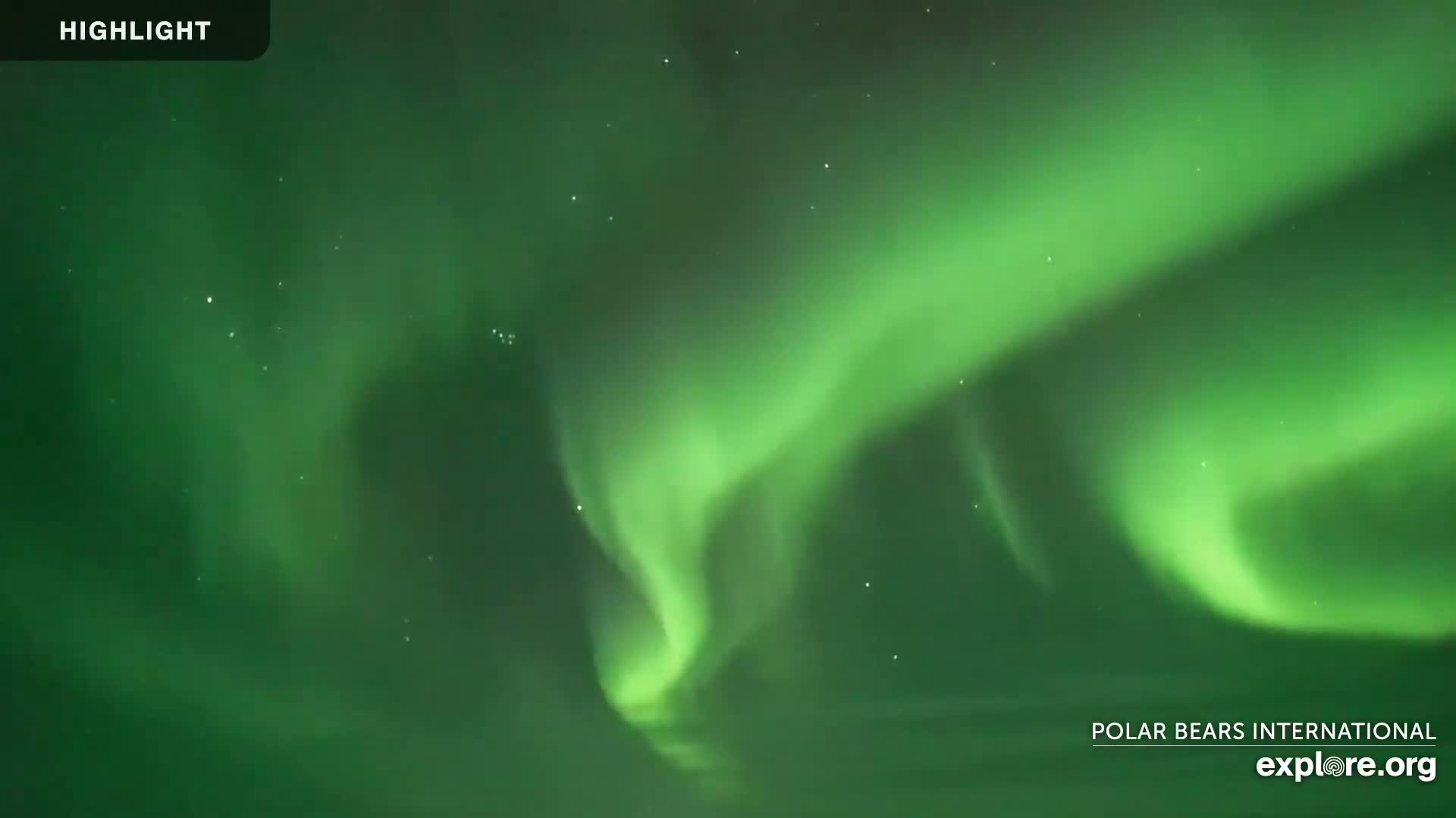 A vibrant green aurora borealis fills the night sky.