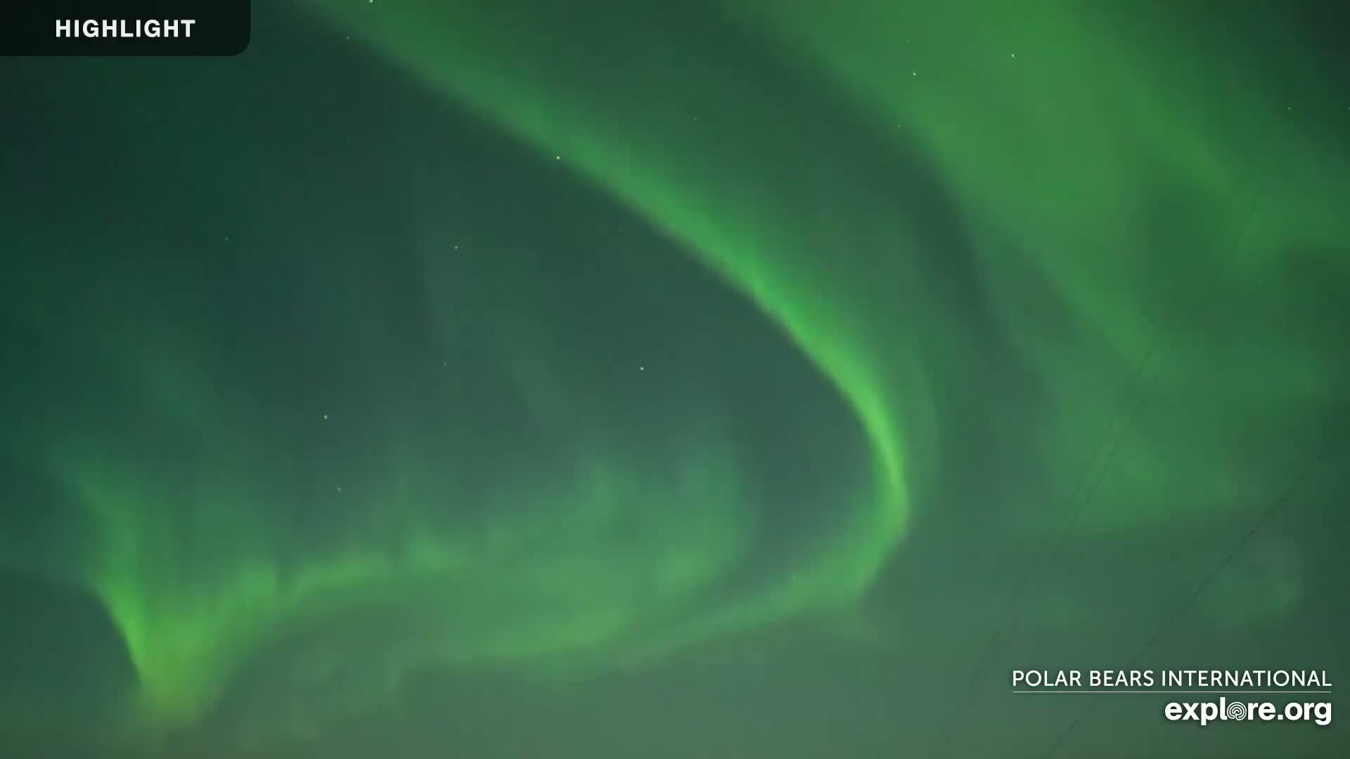 A vibrant green aurora borealis illuminates the night sky.