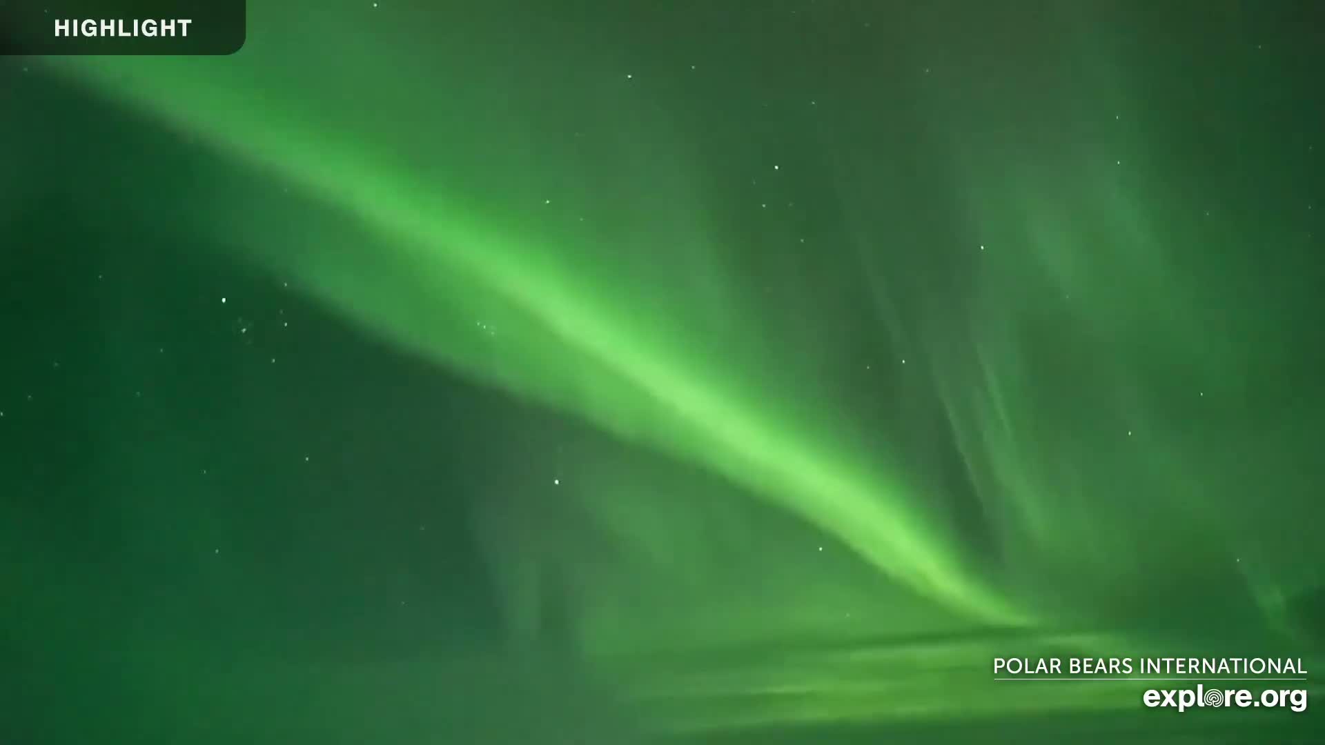 A bright green aurora borealis stretches across a dark night sky filled with stars.