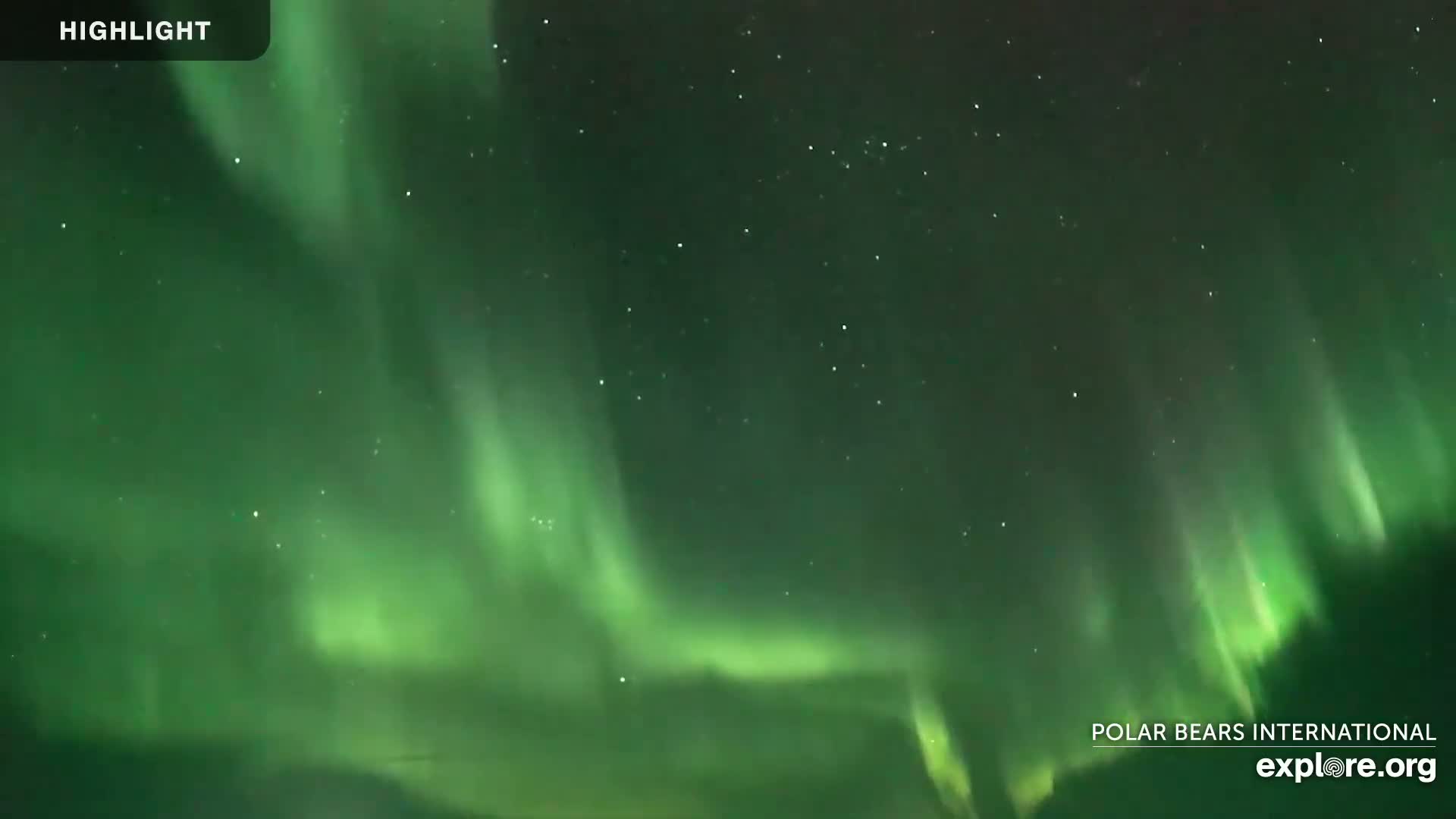 A vibrant green aurora borealis fills the night sky, speckled with stars.