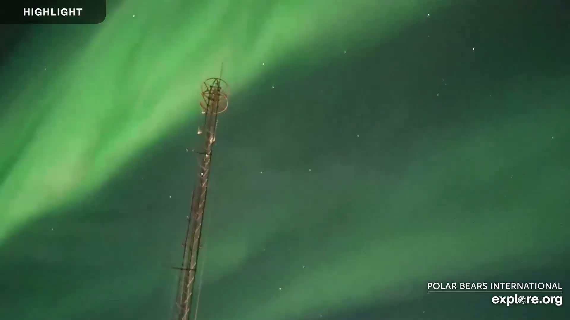 A tall metal structure stands against a night sky filled with vibrant green aurora borealis.