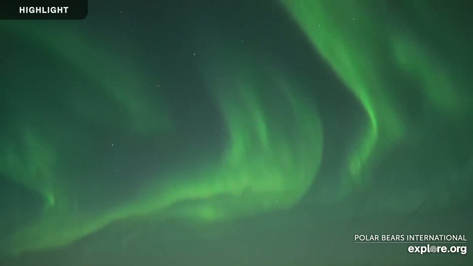 Swirling green and white aurora borealis fill the night sky.