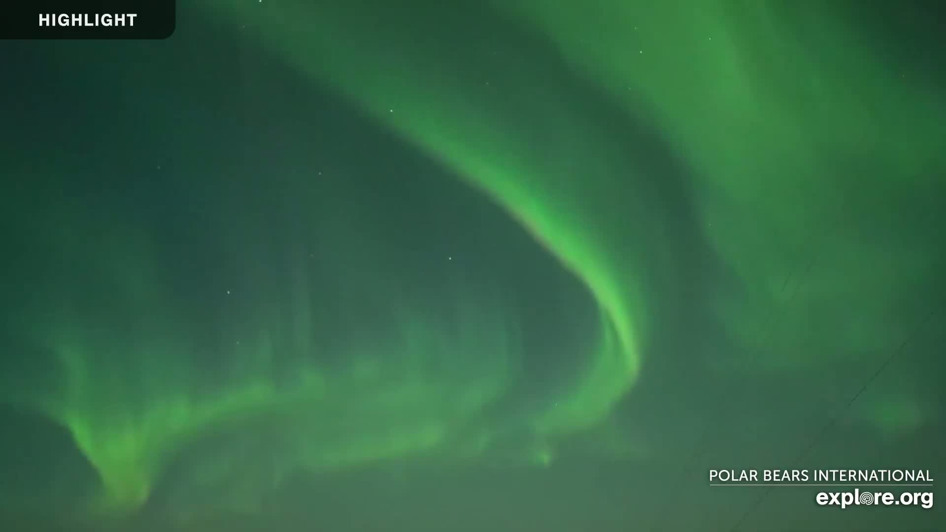 A vibrant green aurora borealis illuminates the night sky.