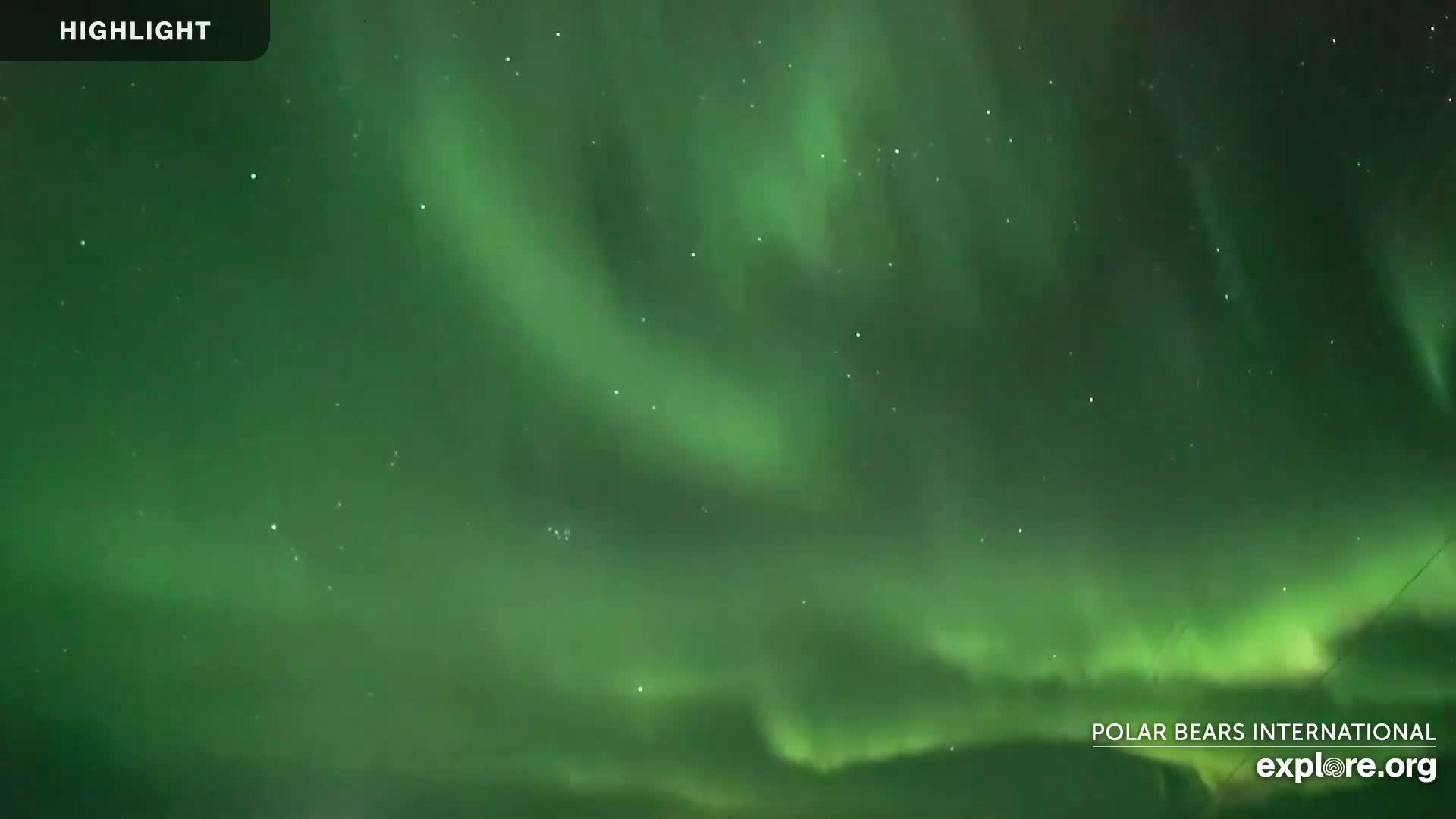 A vibrant green aurora borealis fills the night sky.