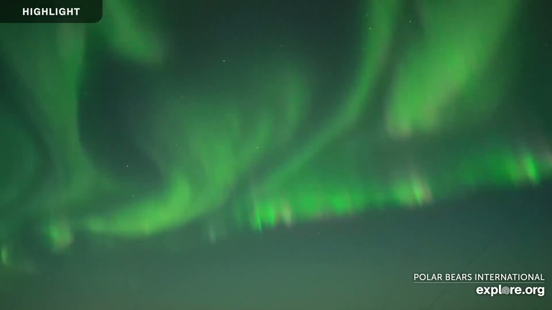 A vibrant green aurora borealis illuminates the night sky.