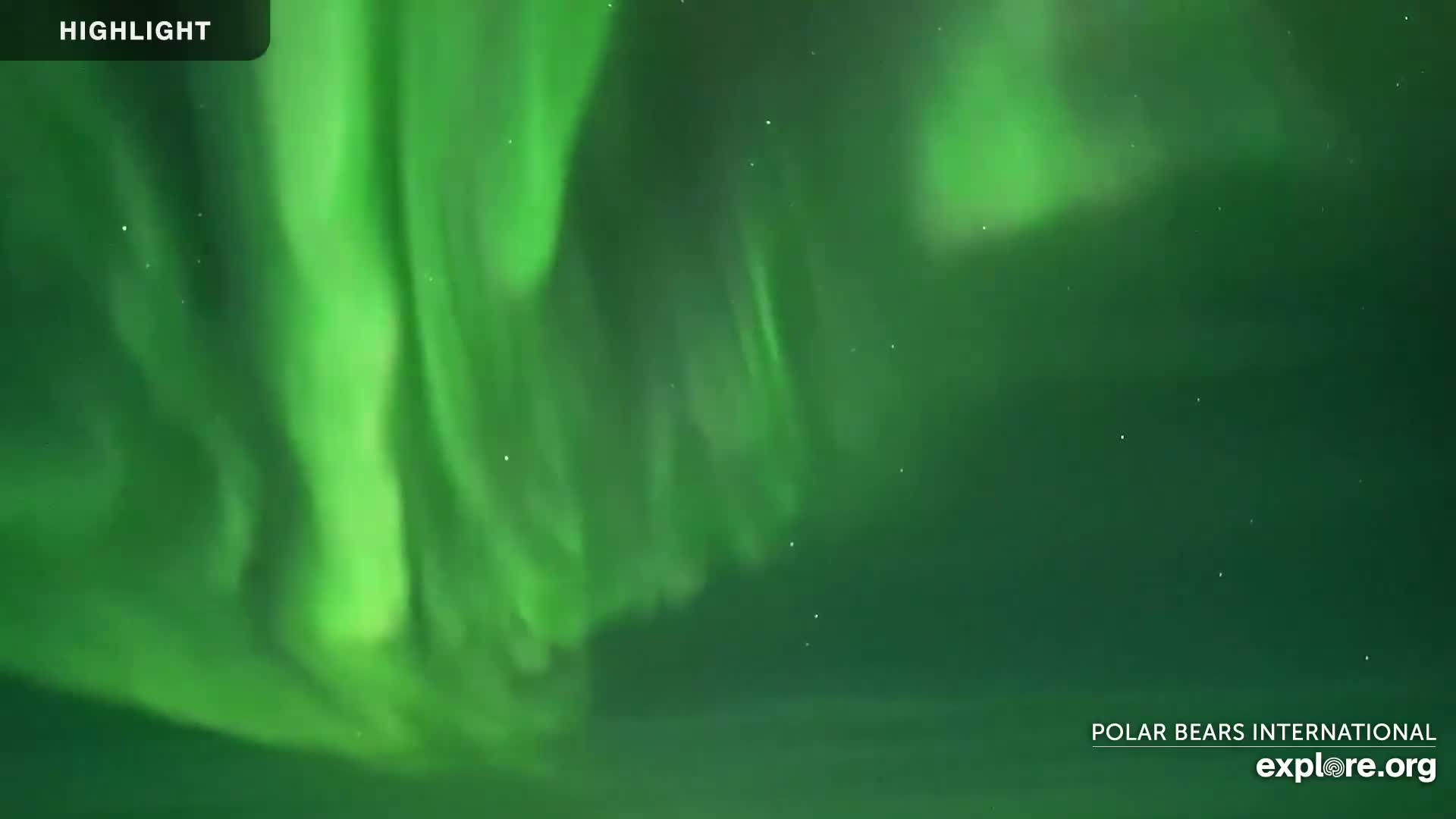 Churchill Marine Observatory, Northern Lights / Aurora Borealis / Stars View Live Cam - Churchill, Division No. 23, Northern Manitoba, Manitoba, Canada 
