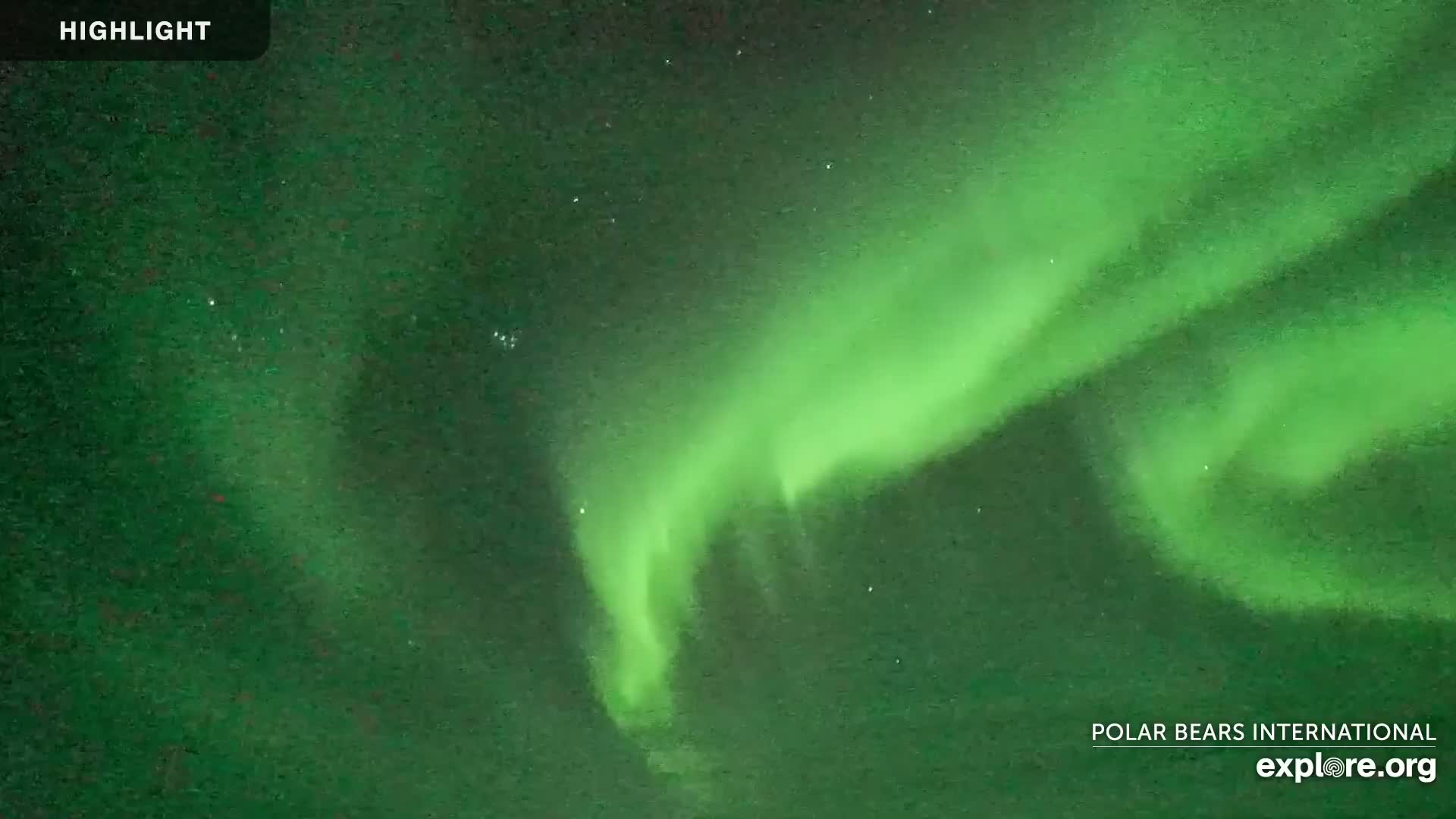 A vibrant green aurora borealis illuminates the night sky.