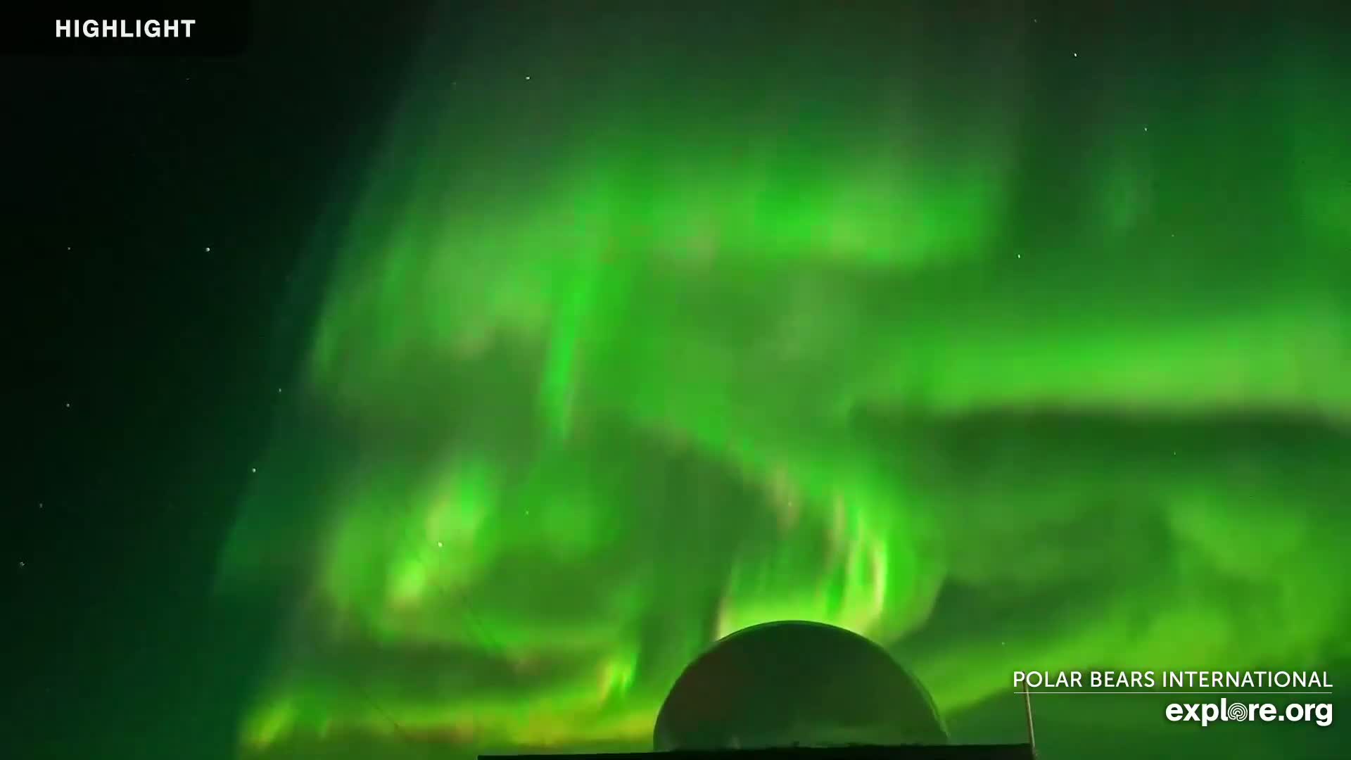 A vibrant green aurora borealis illuminates the night sky above a domed structure.