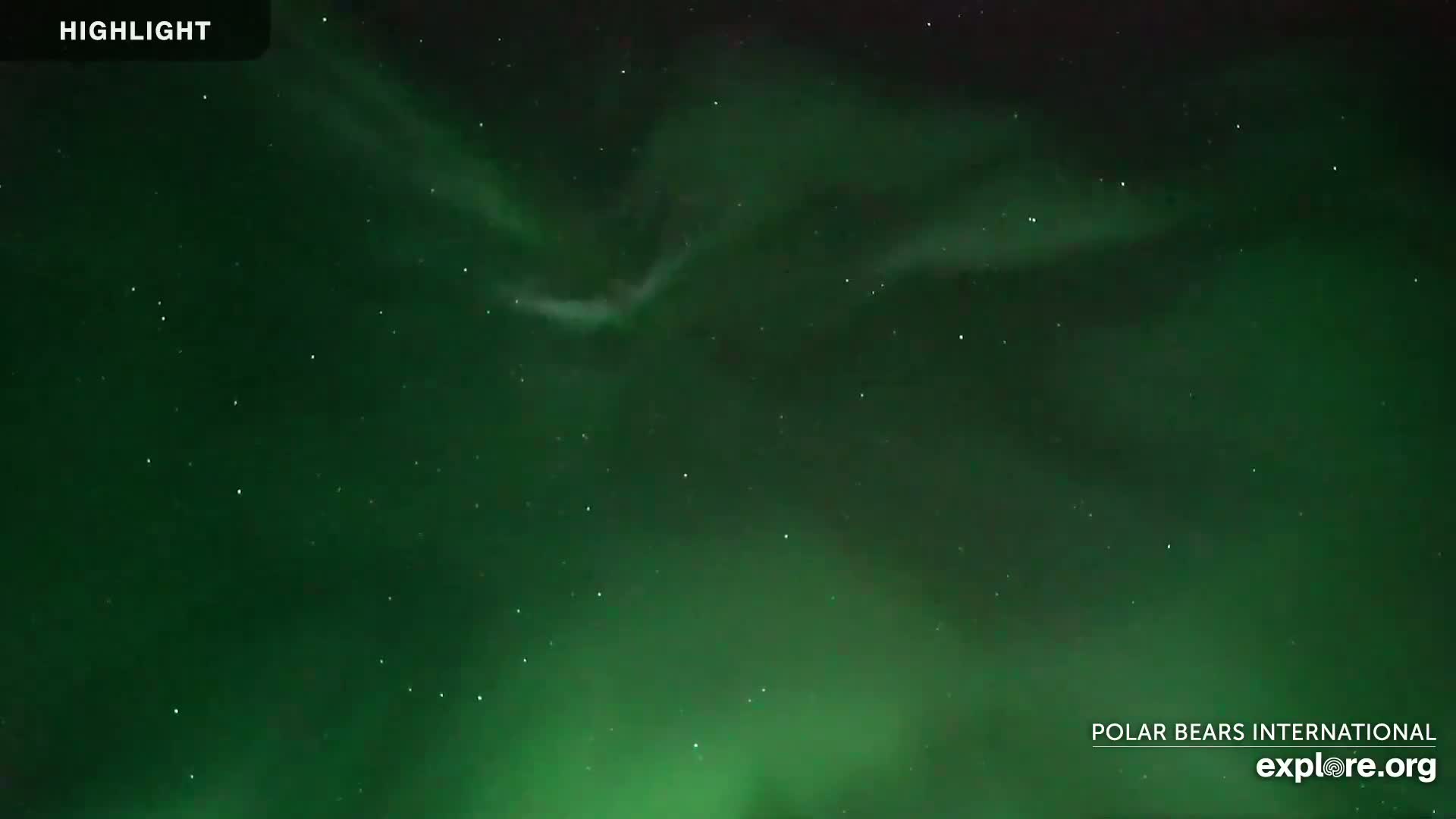 Churchill Marine Observatory, Northern Lights / Aurora Borealis / Stars View Live Cam - Churchill, Division No. 23, Northern Manitoba, Manitoba, Canada 