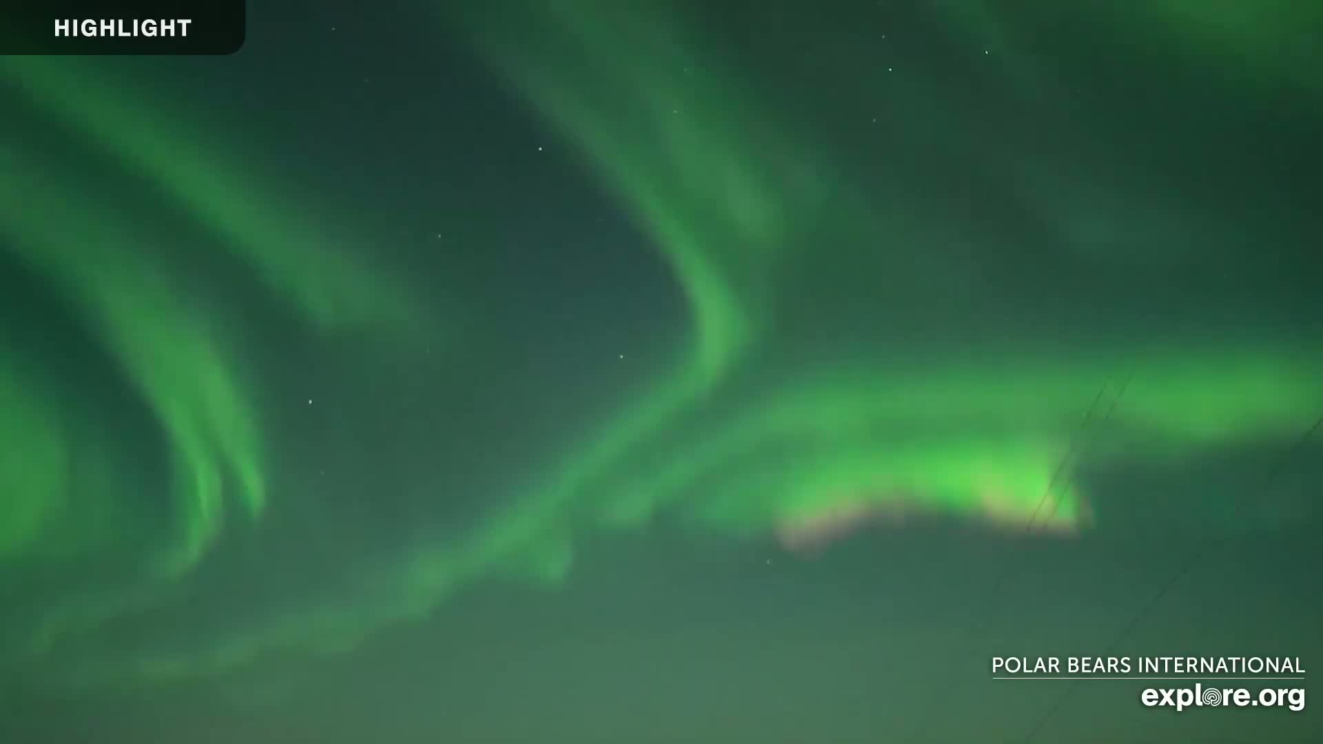 Swirling green and faint pink aurora borealis fill the night sky.
