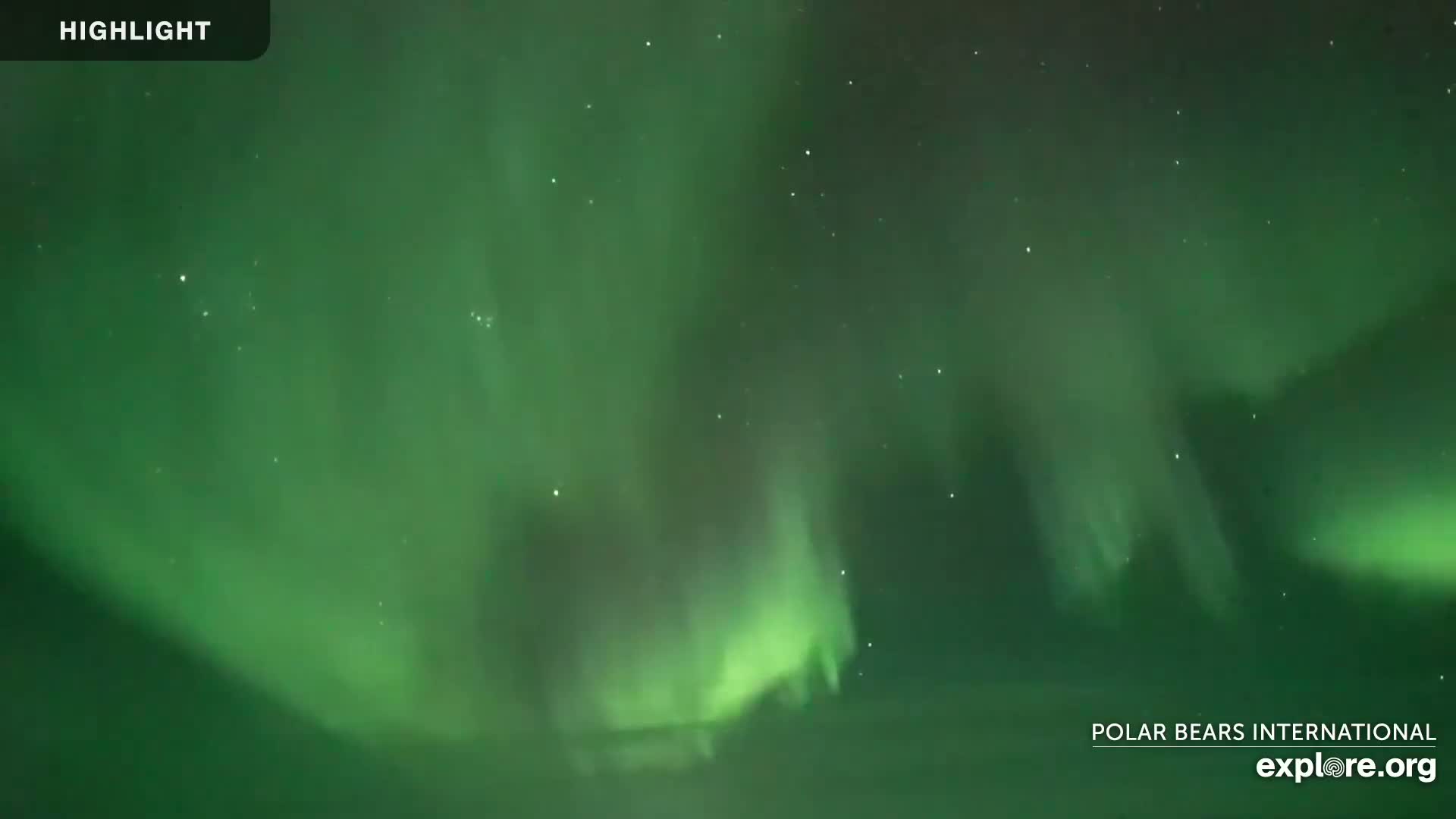A vibrant green aurora borealis fills the night sky.