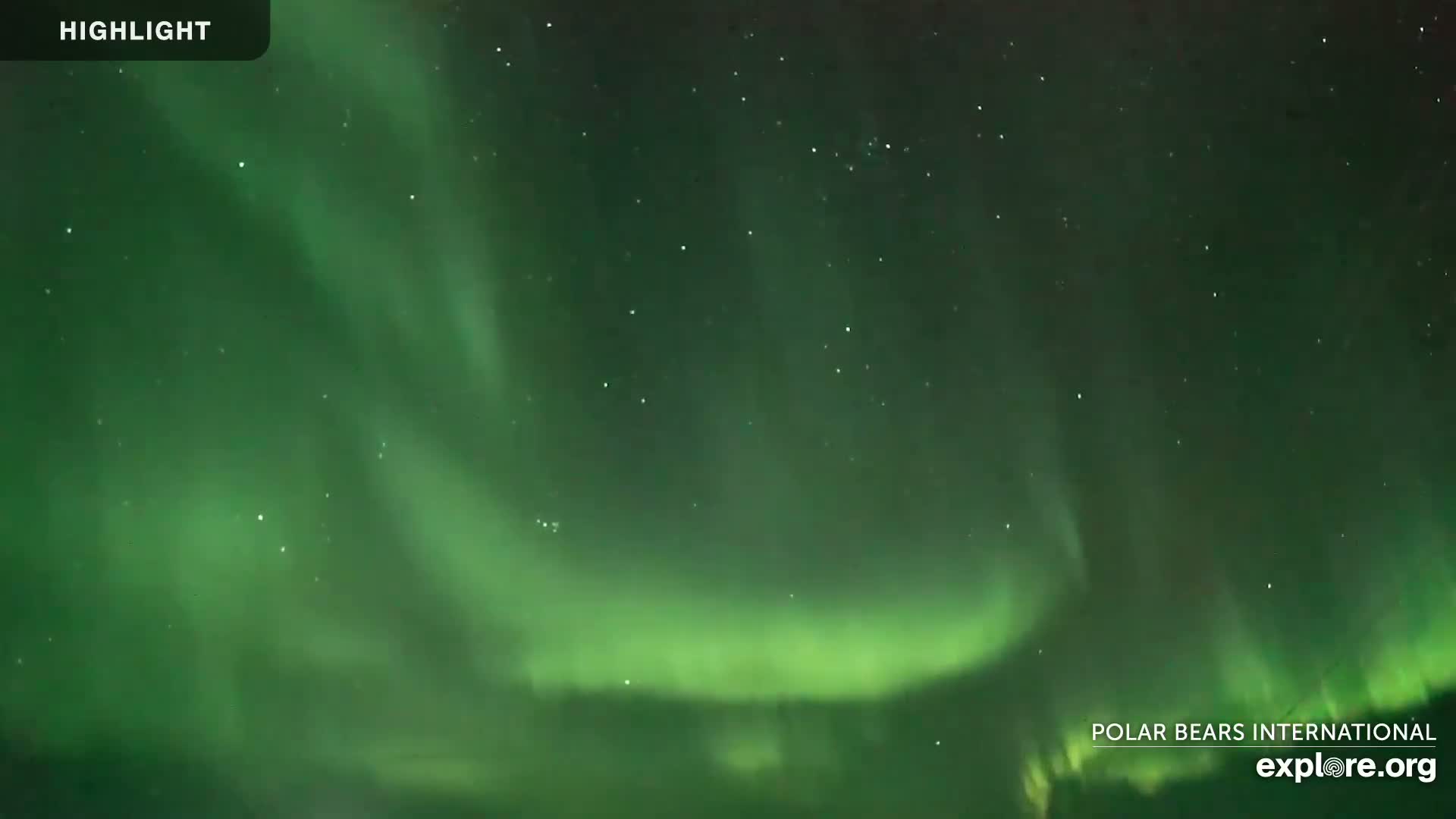 Churchill Marine Observatory, Northern Lights / Aurora Borealis / Stars View Live Cam - Churchill, Division No. 23, Northern Manitoba, Manitoba, Canada 