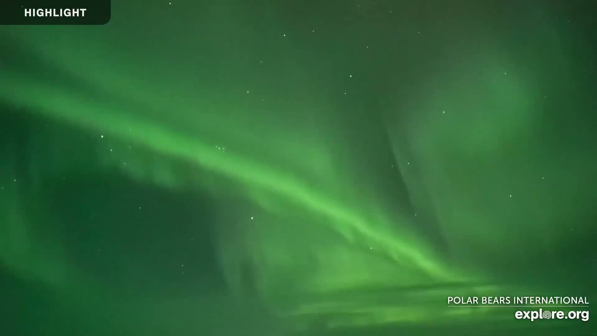 Churchill Marine Observatory, Northern Lights / Aurora Borealis / Stars View Live Cam - Churchill, Division No. 23, Northern Manitoba, Manitoba, Canada 