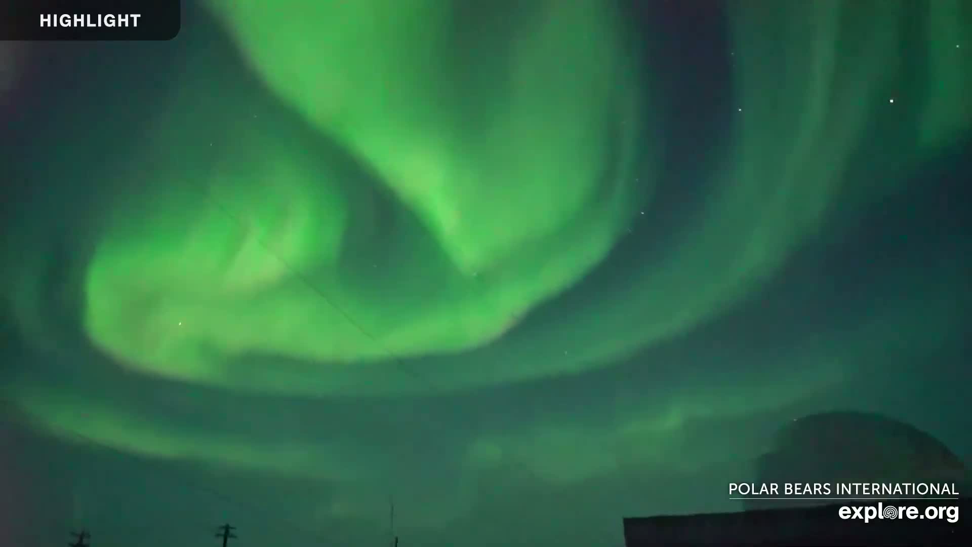 A vibrant green aurora borealis fills the night sky.