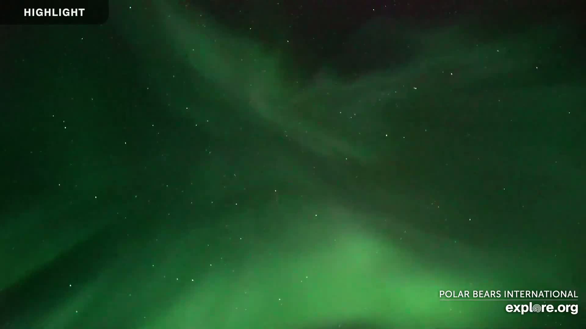 A nighttime, starry sky displays a vibrant green aurora borealis.