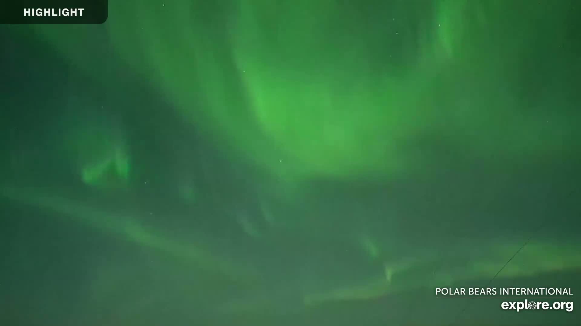 Churchill Marine Observatory, Northern Lights / Aurora Borealis / Stars View Live Cam - Churchill, Division No. 23, Northern Manitoba, Manitoba, Canada 
