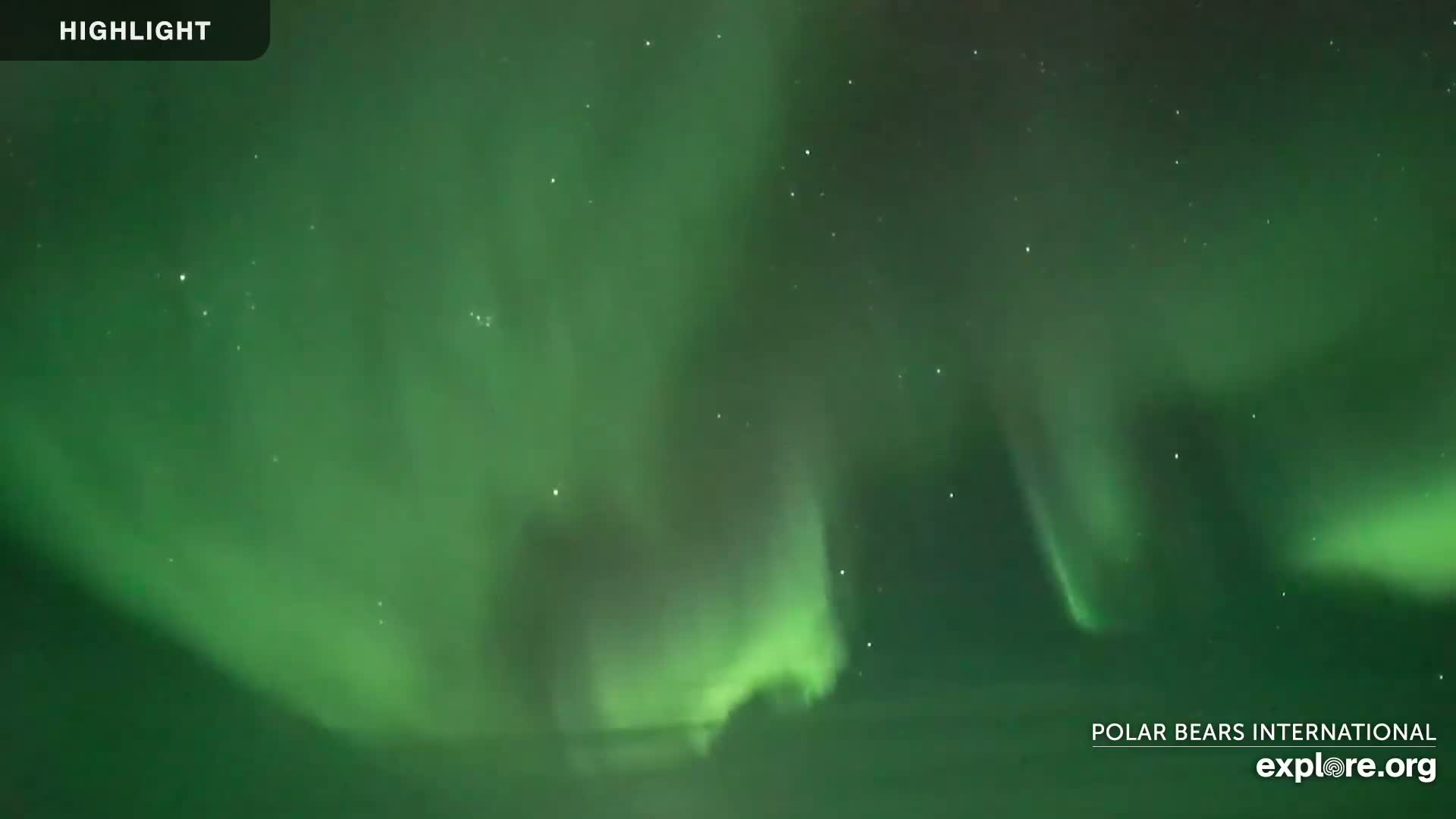 A vibrant green aurora borealis fills the night sky.