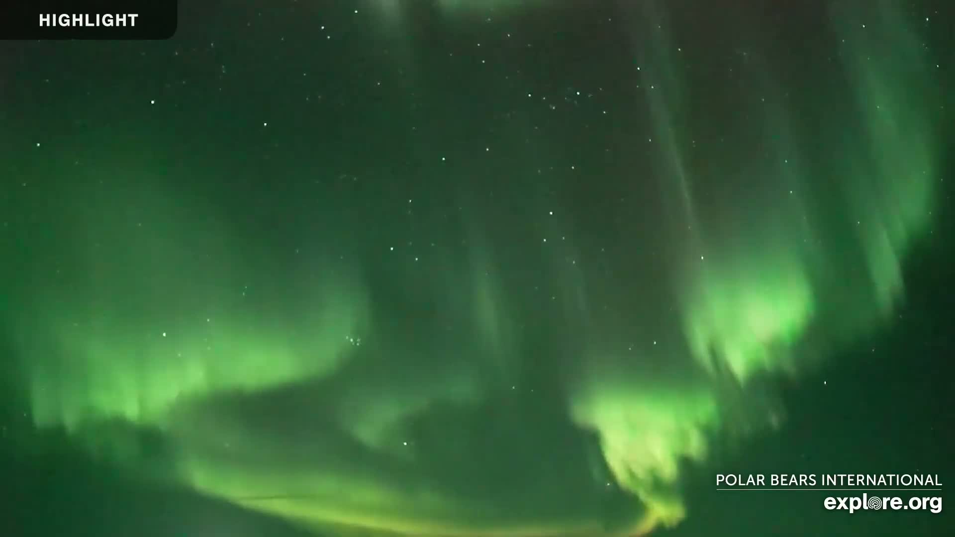 A vibrant green aurora borealis fills a night sky dotted with stars.