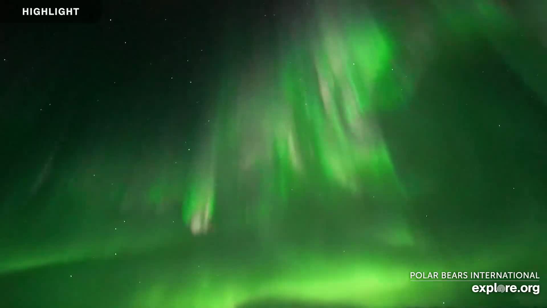 Churchill Marine Observatory, Northern Lights / Aurora Borealis / Stars View Live Cam - Churchill, Division No. 23, Northern Manitoba, Manitoba, Canada 