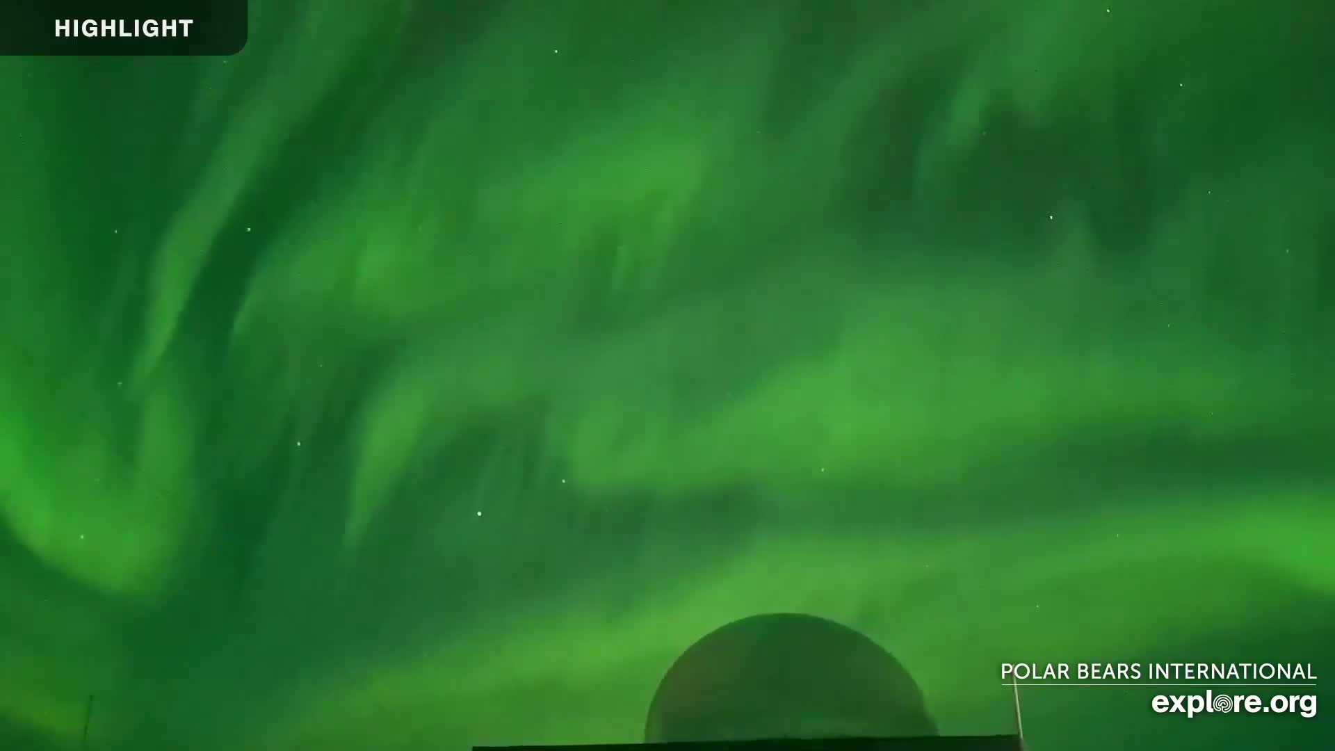A vibrant green aurora borealis fills the night sky above a dark, rounded structure.