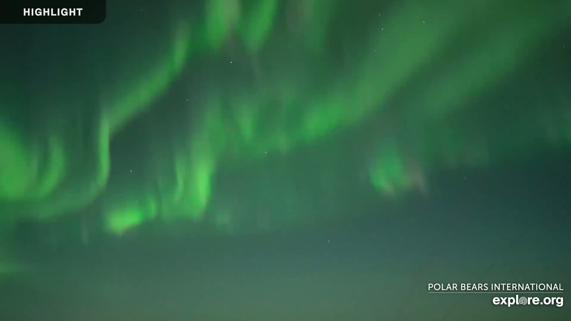 Swirling green and white aurora borealis fill the night sky.