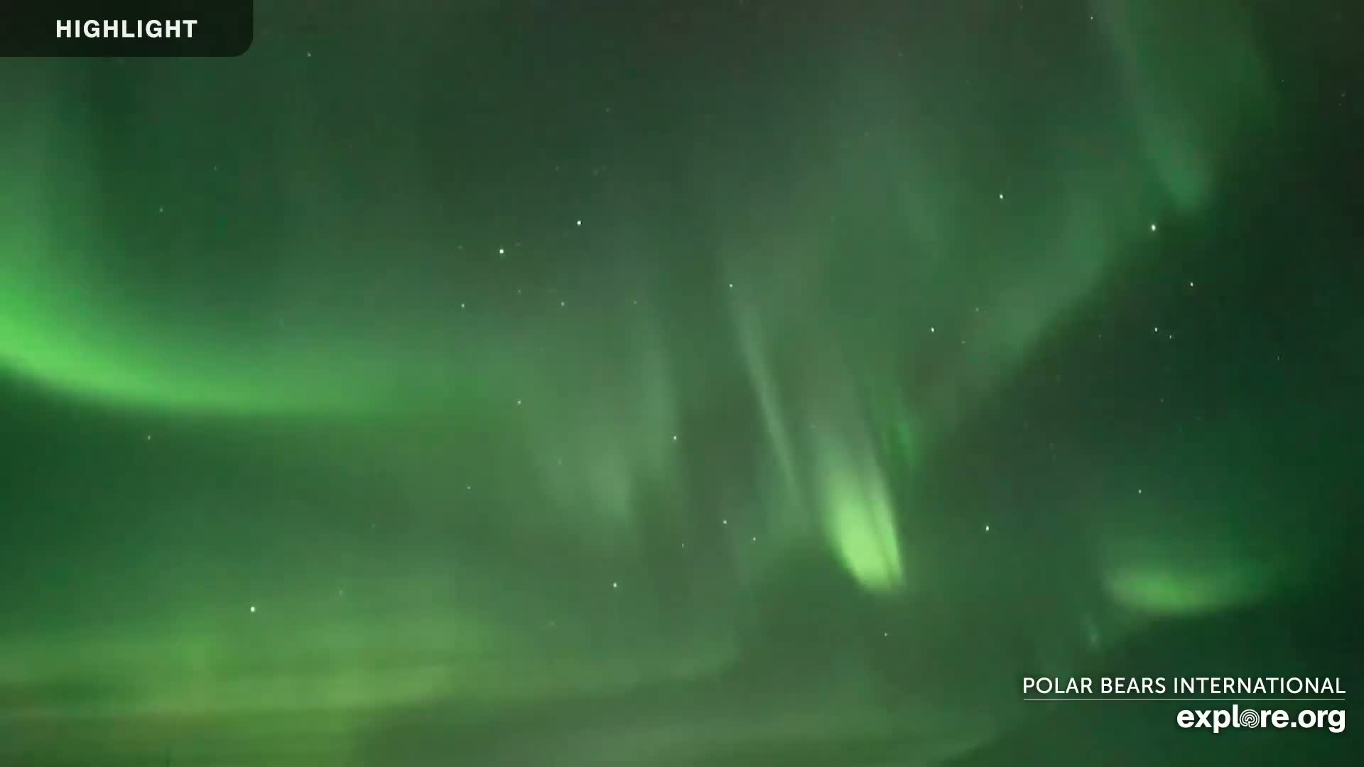 A vibrant green aurora borealis fills the night sky.