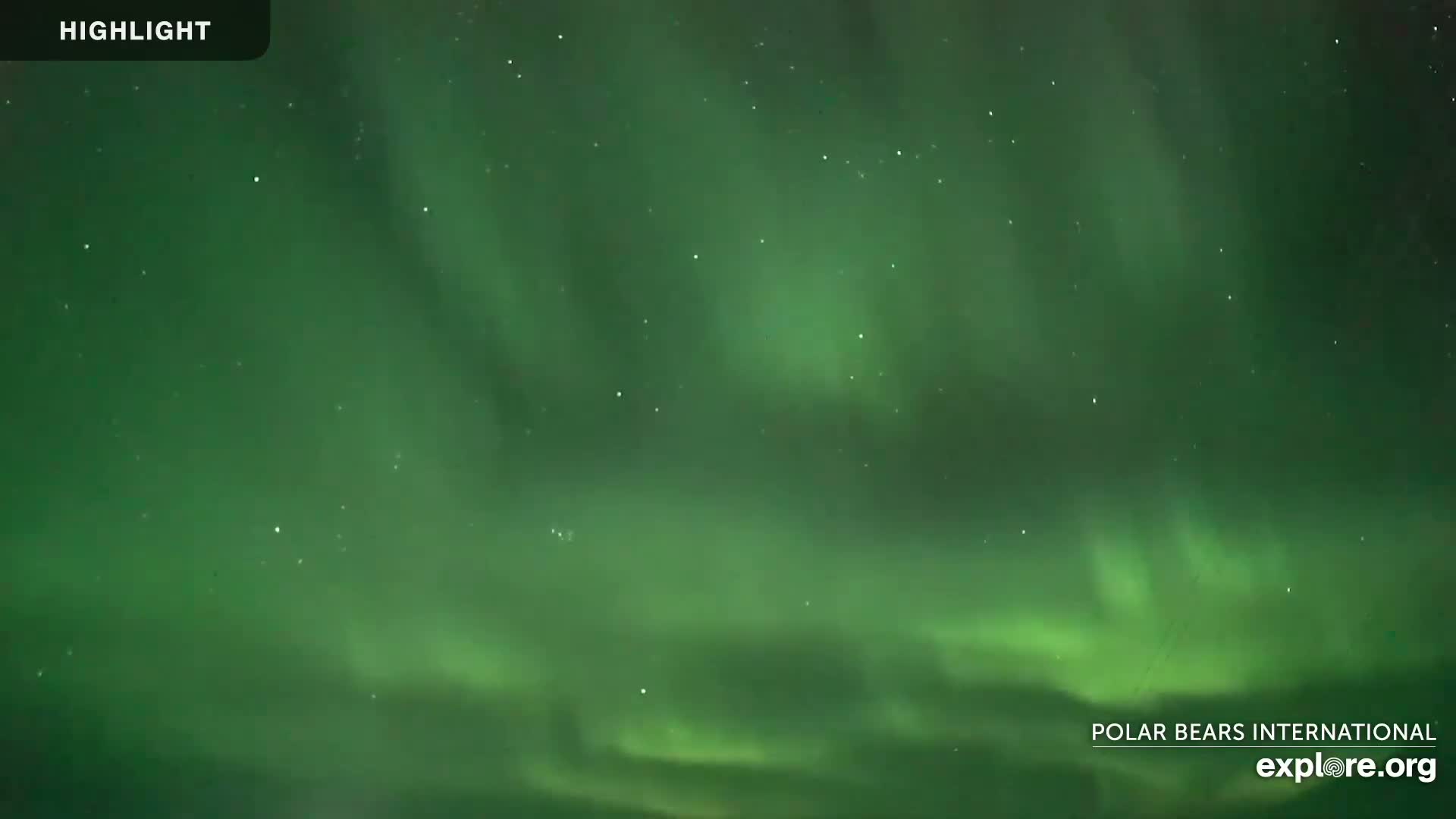 A vibrant green aurora borealis fills the night sky, speckled with faint stars.