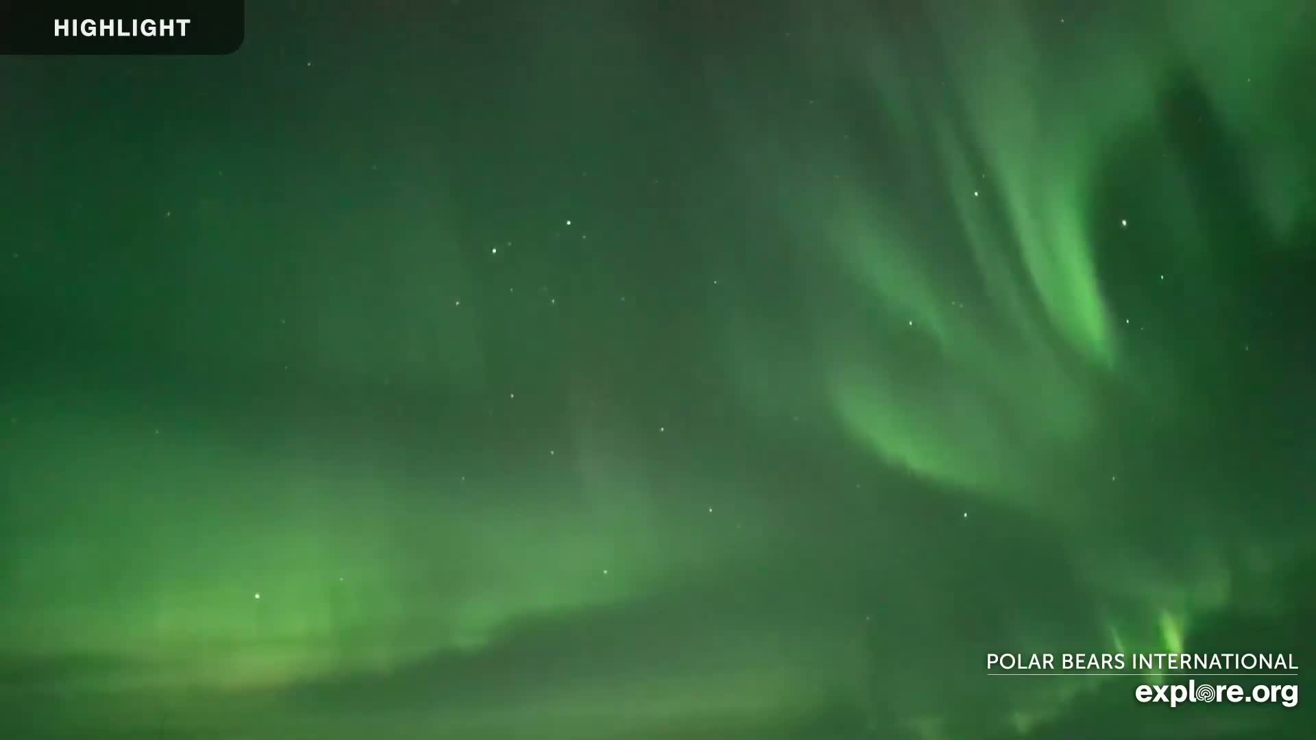 A vibrant green aurora borealis displays across a dark night sky.