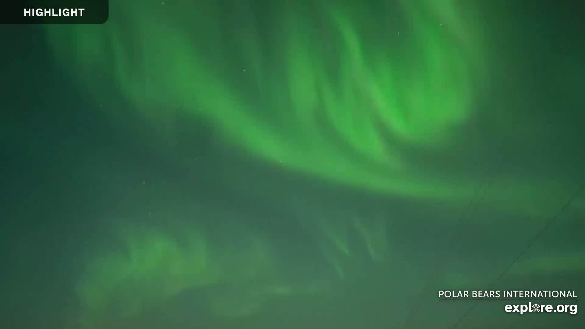 Churchill Marine Observatory, Northern Lights / Aurora Borealis / Stars View Live Cam - Churchill, Division No. 23, Northern Manitoba, Manitoba, Canada 