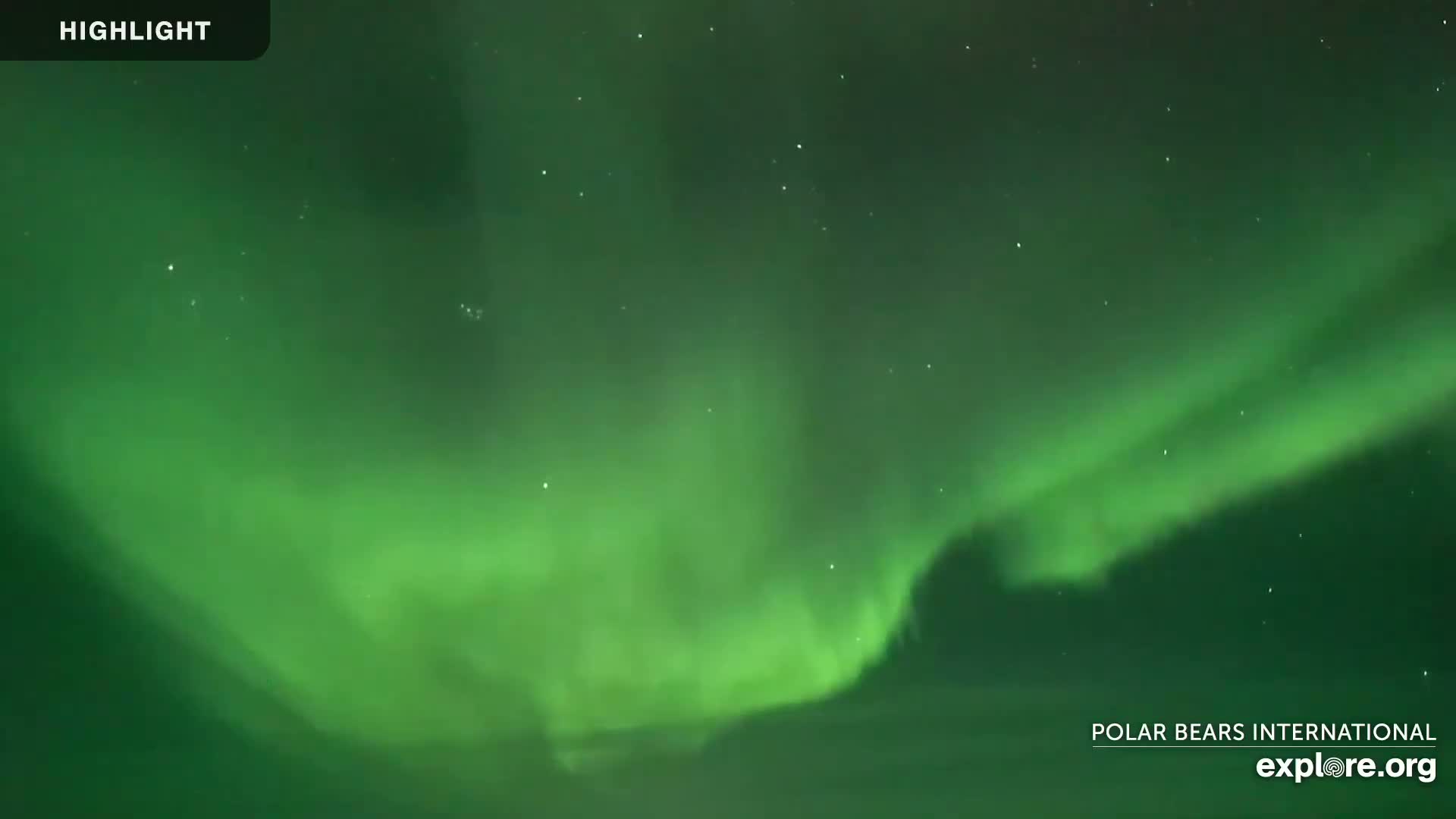 A vibrant green aurora borealis fills the night sky.