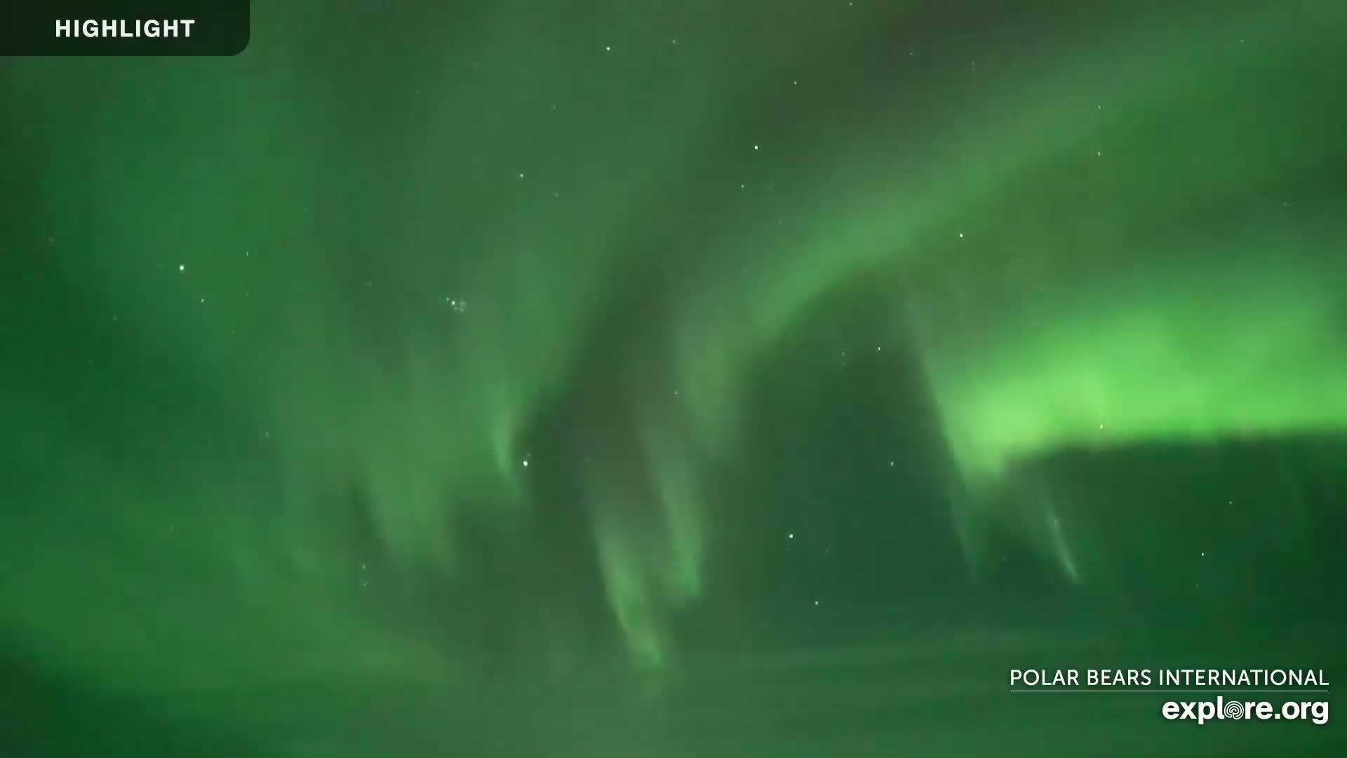 Churchill Marine Observatory, Northern Lights / Aurora Borealis / Stars View Live Cam - Churchill, Division No. 23, Northern Manitoba, Manitoba, Canada 