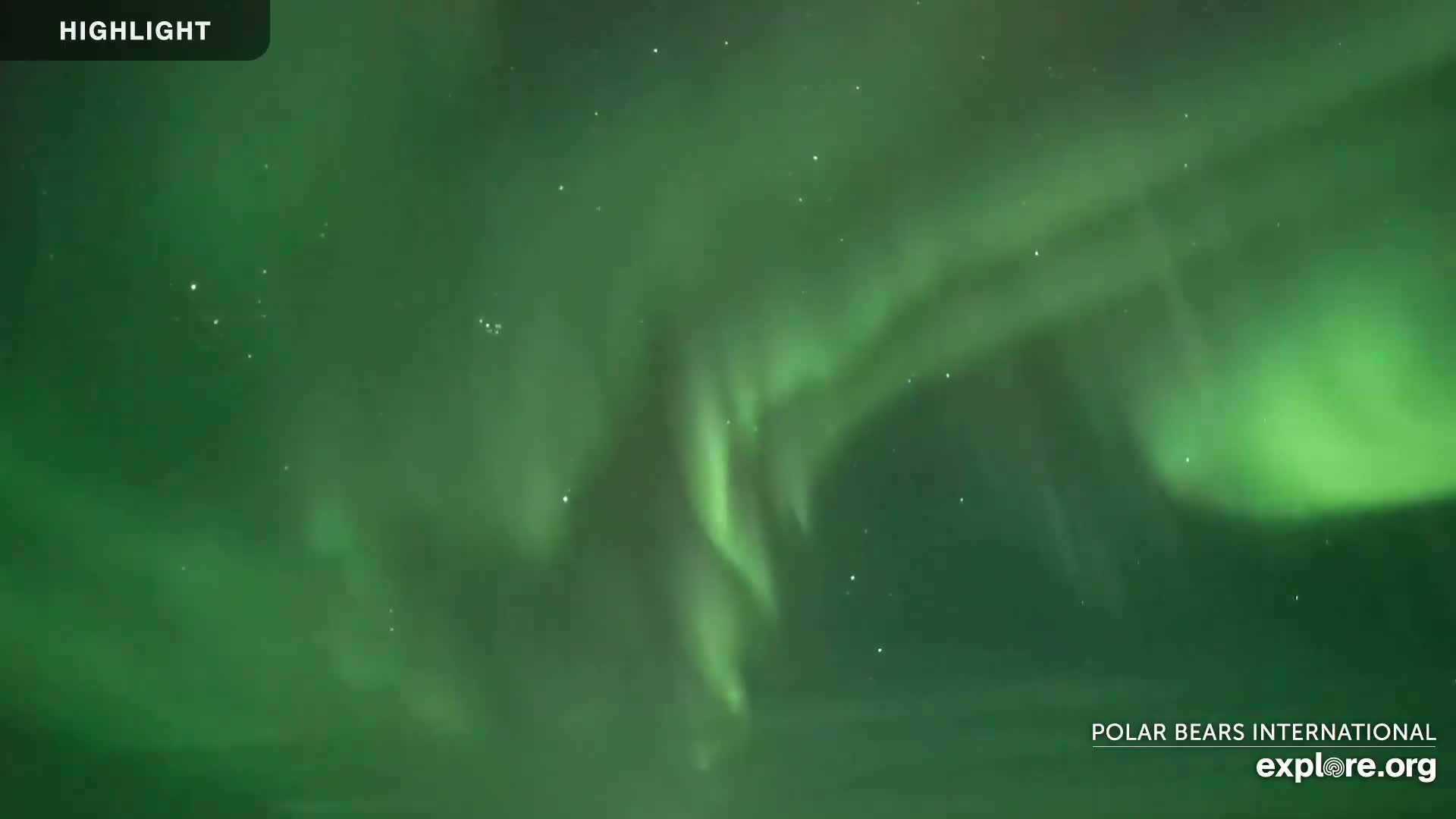 A vibrant green aurora borealis illuminates the night sky.