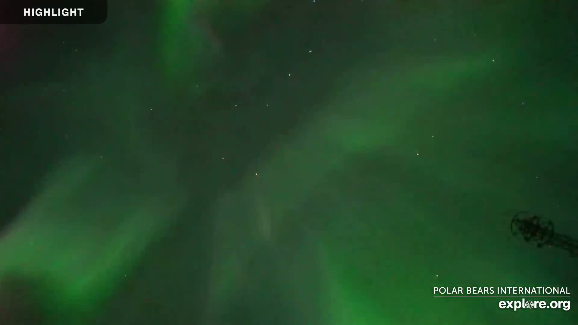 A nighttime view of a vibrant green aurora borealis in the sky, with a few stars visible.