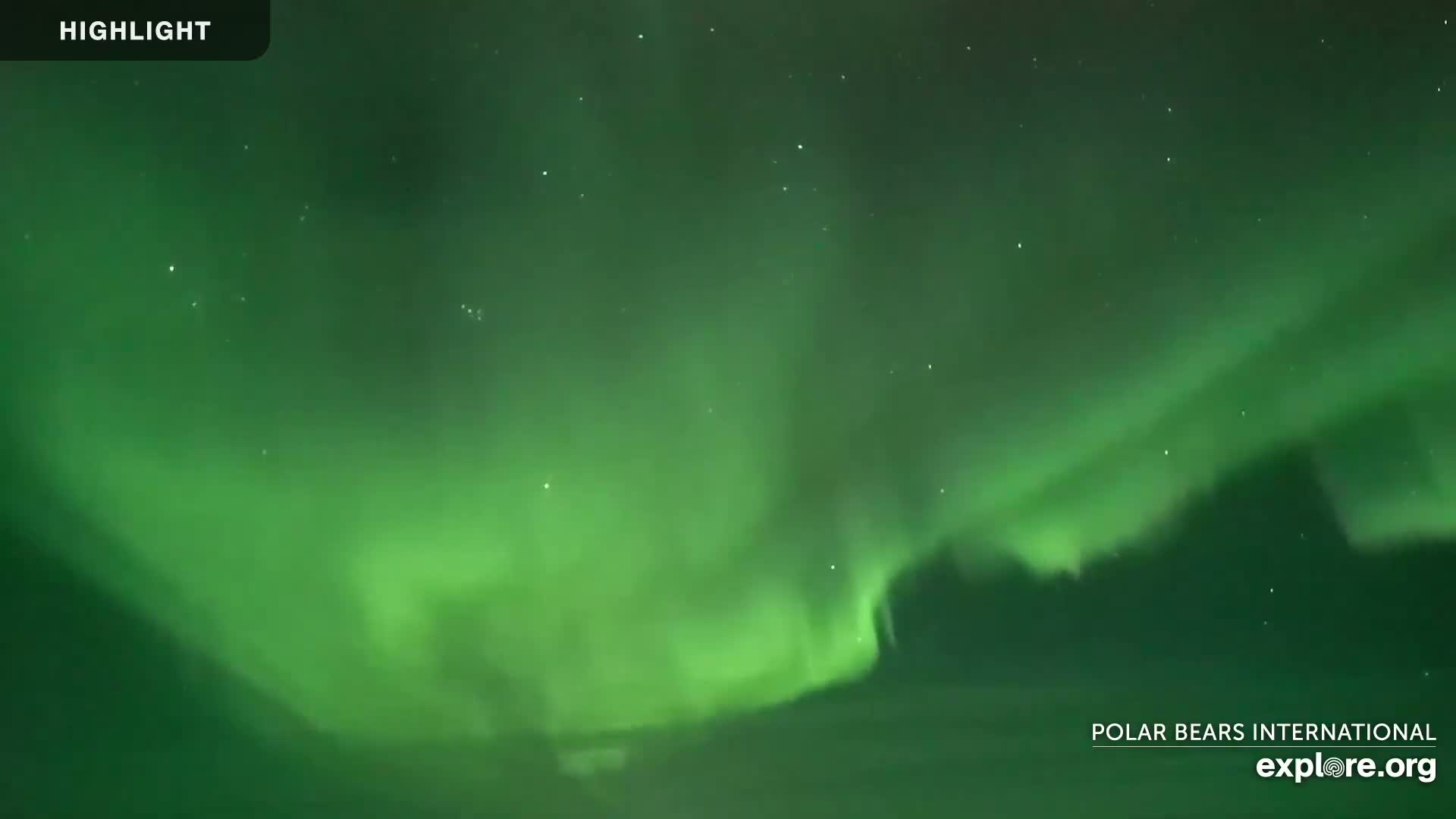 A vibrant green aurora borealis fills the night sky.