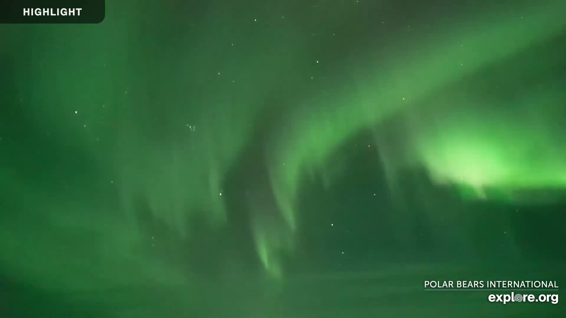 A nighttime scene shows a vibrant green aurora borealis in a dark sky dotted with stars.