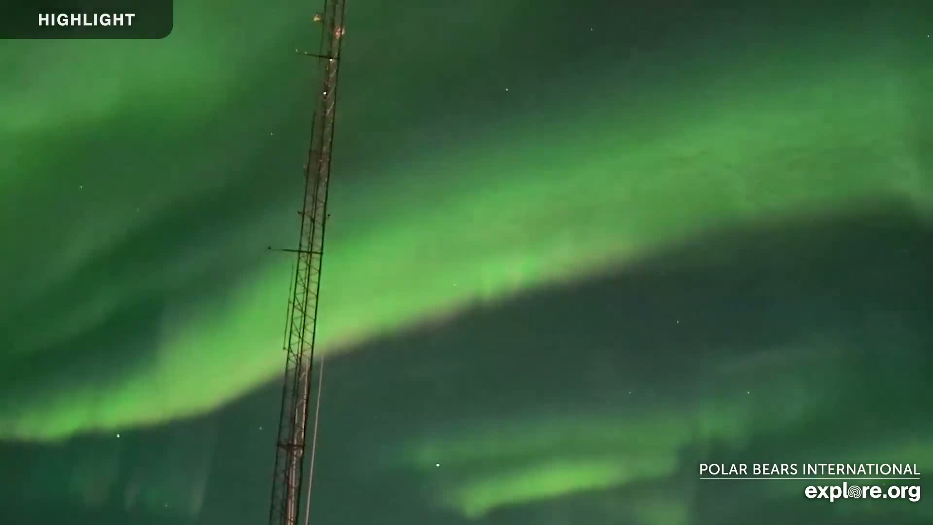 A tall metal tower stands against a night sky filled with vibrant green aurora borealis.